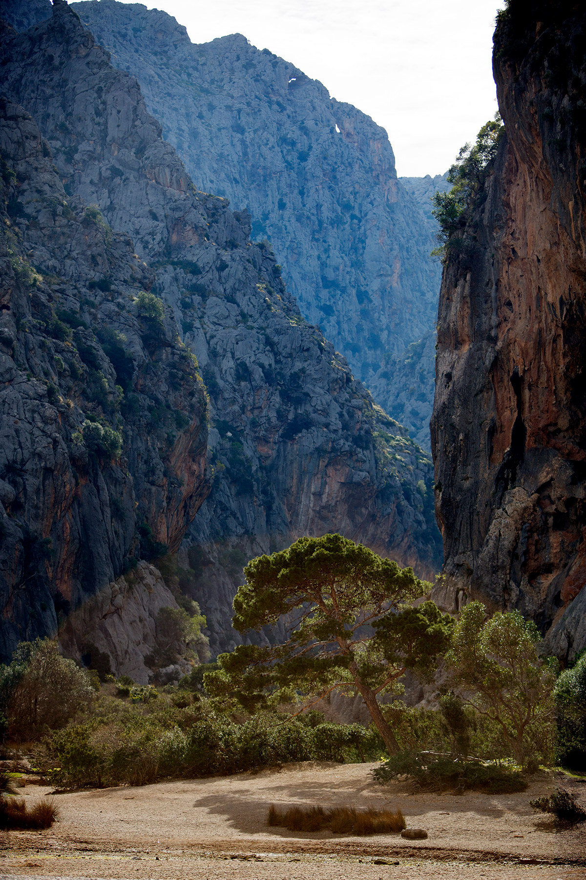 blogg-210125-170329mallorca20.jpg