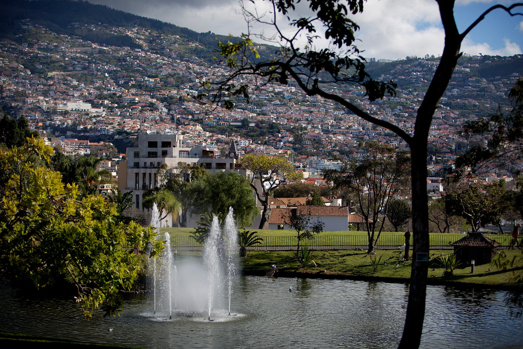 blogg-210127-180214madeira1.jpg