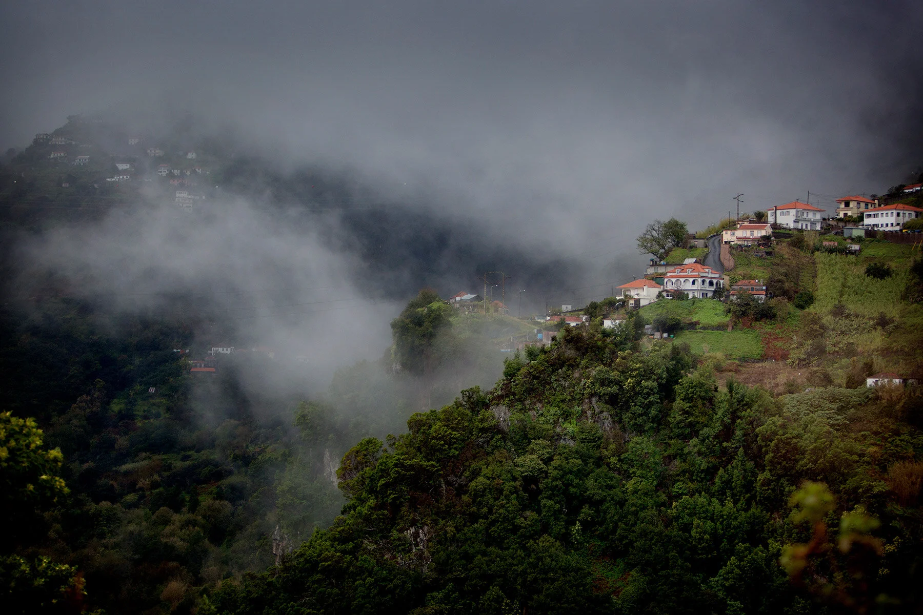 blogg-210127-180214madeira38.jpg