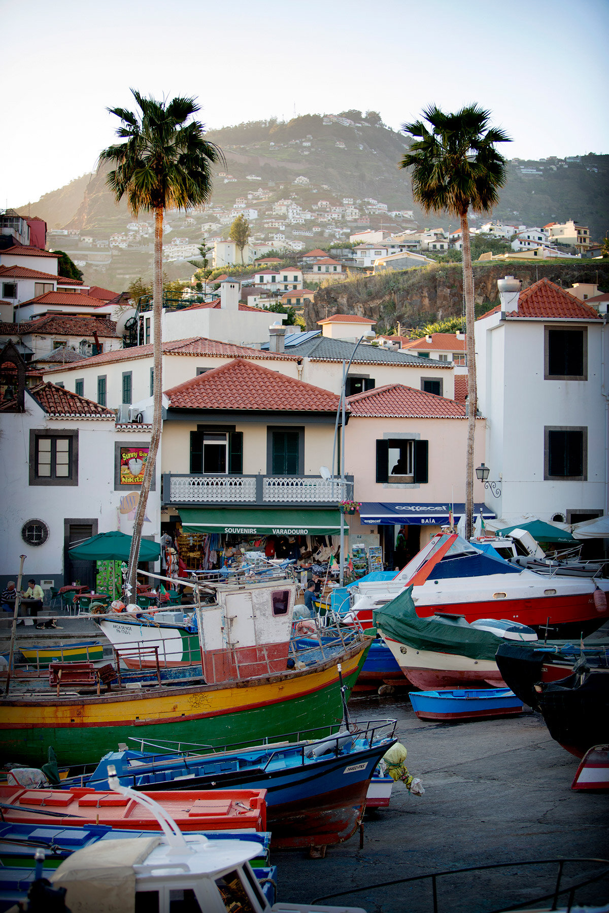 blogg-210127-180214madeira42.jpg