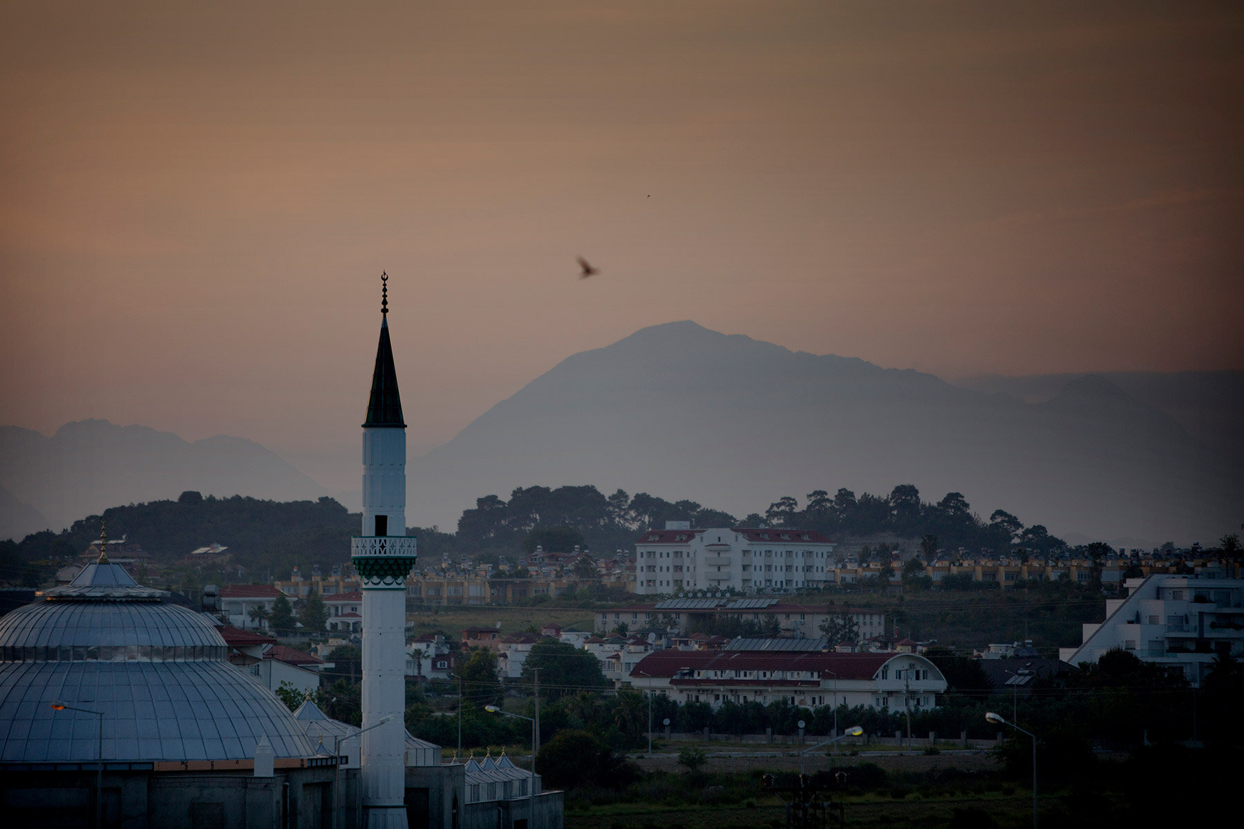 blogg-210127-170507turkiet17.jpg