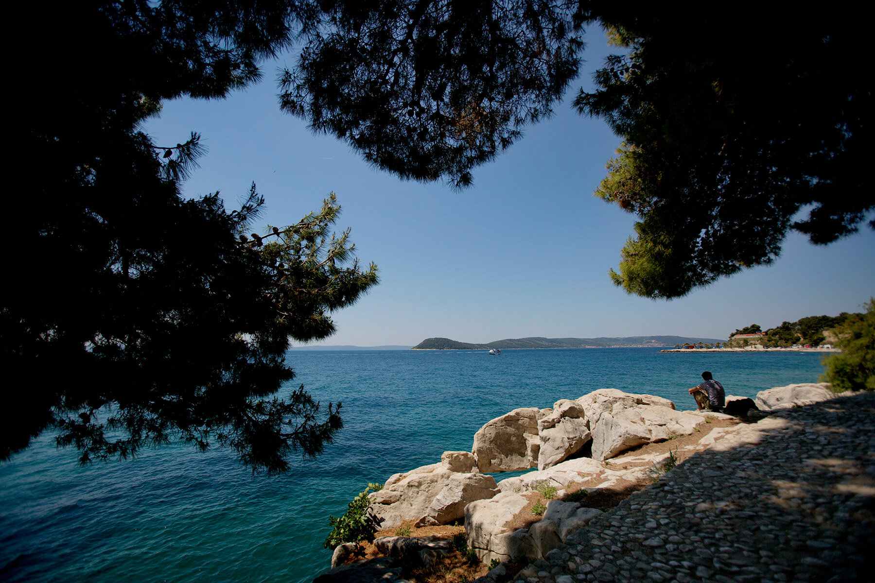 blogg-210127-160521split54.jpg