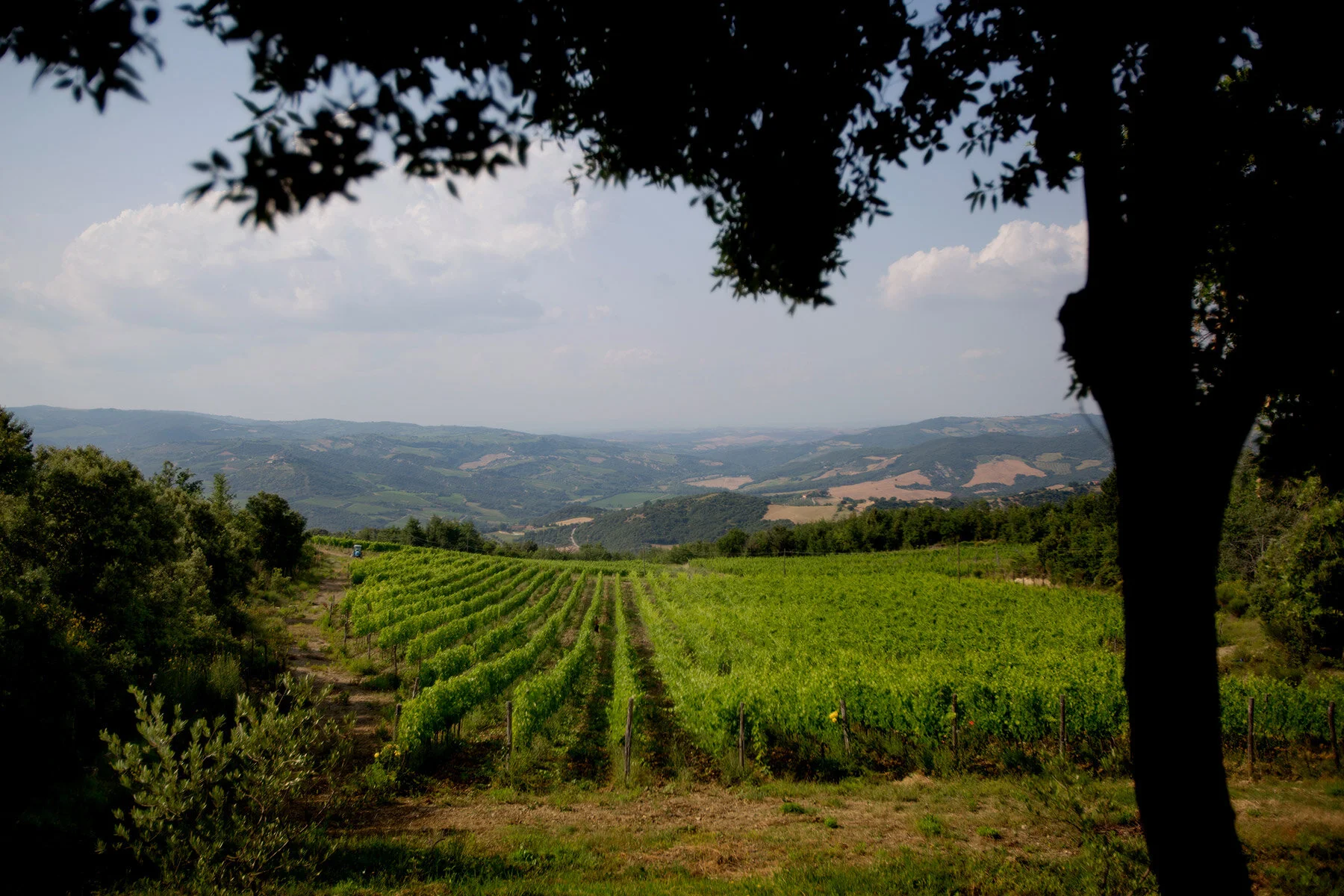 blogg-210127-160704italien4.jpg
