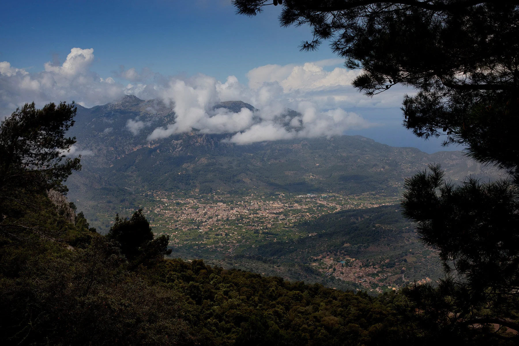 blogg-210128-180428mallorca33.jpg