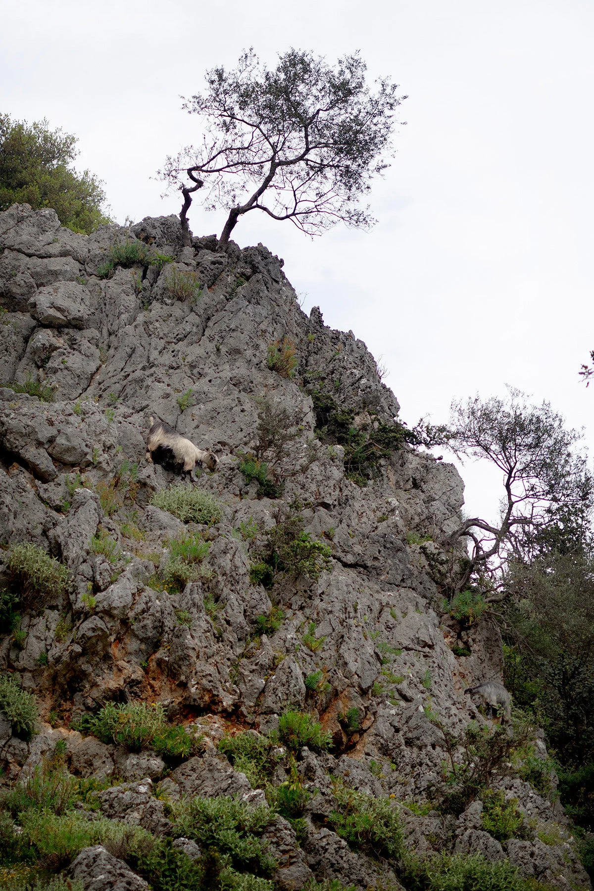 blogg-210128-190504kreta21.jpg