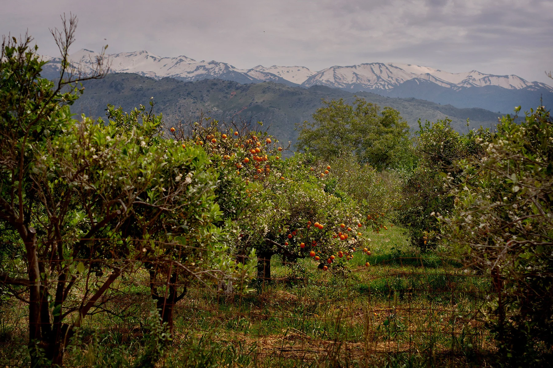 blogg-210128-190504kreta23.jpg