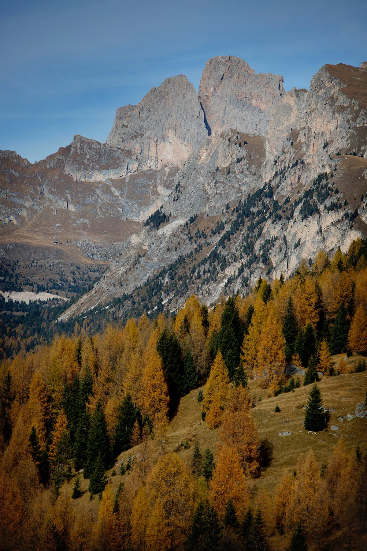 blogg-210127-171027dolomiterna16.jpg