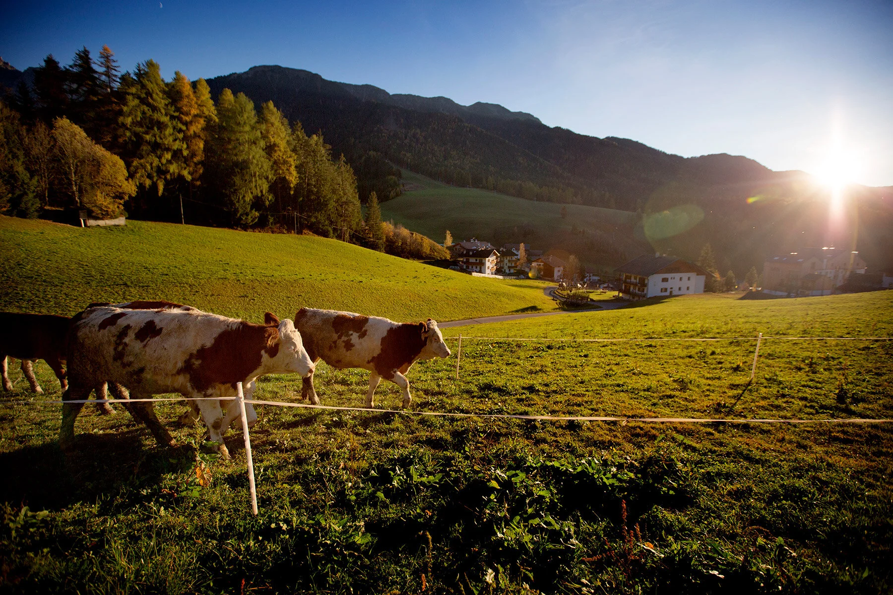 blogg-210127-171027dolomiterna18.jpg