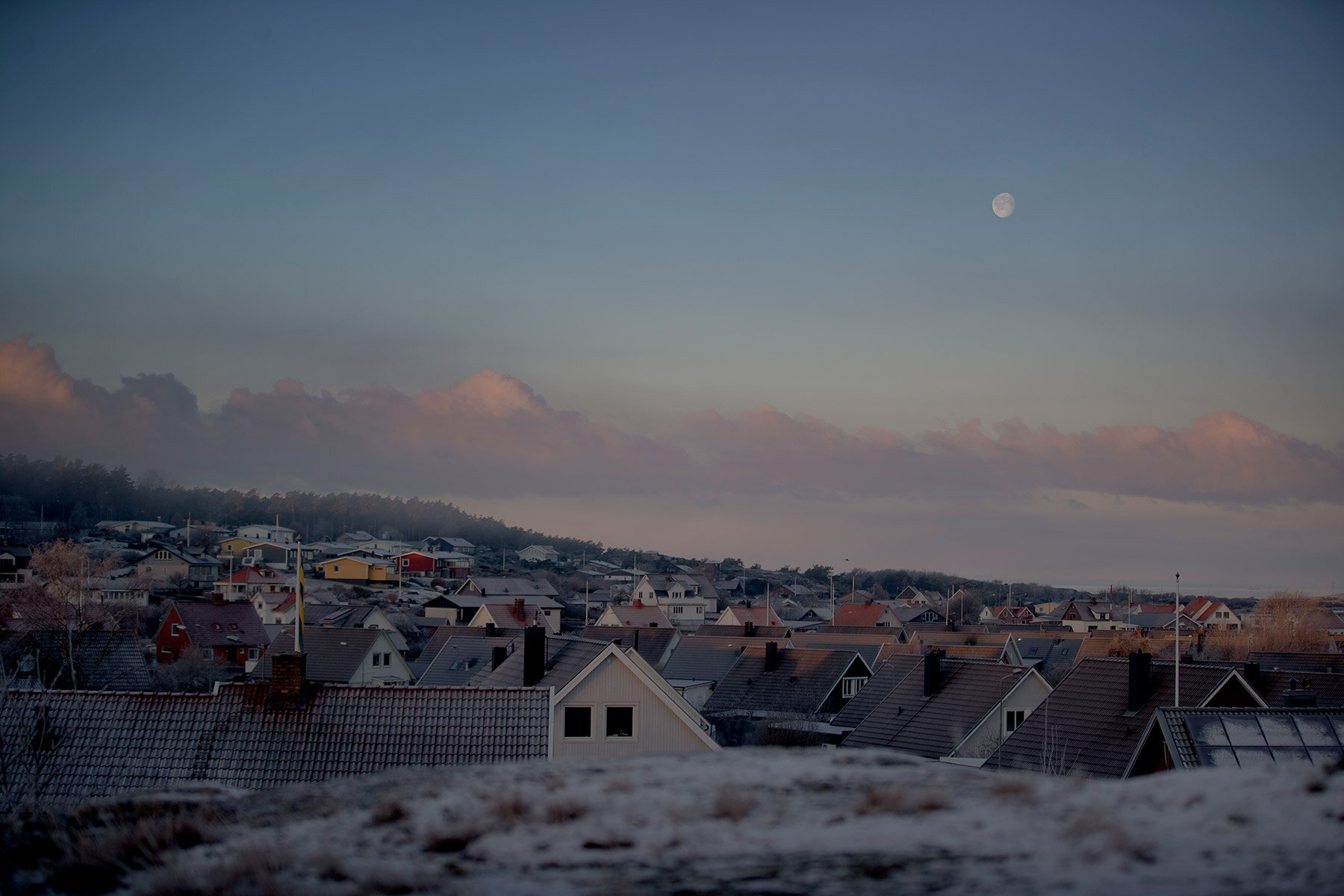 blogg-210131morgonstoraberget5.jpg