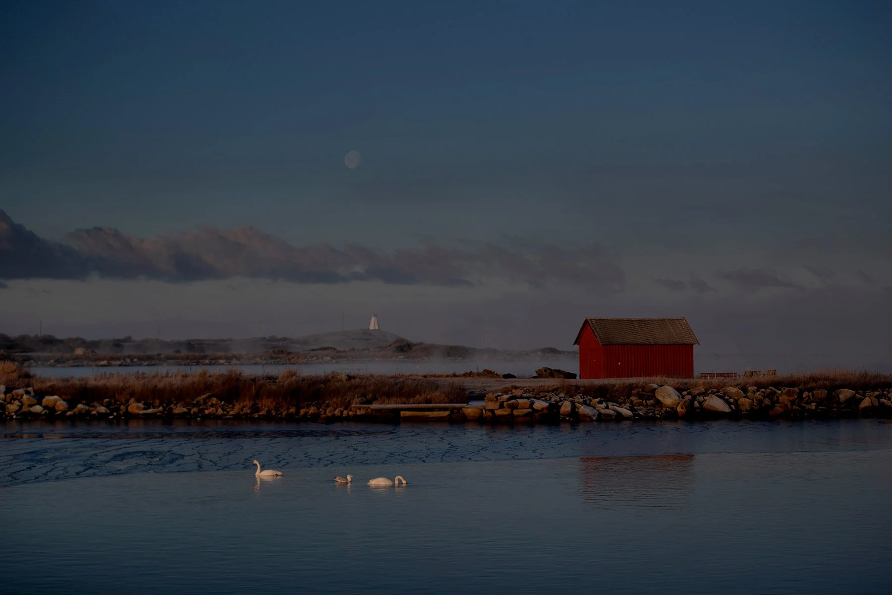 blogg-210131dimsolmorgon4.jpg