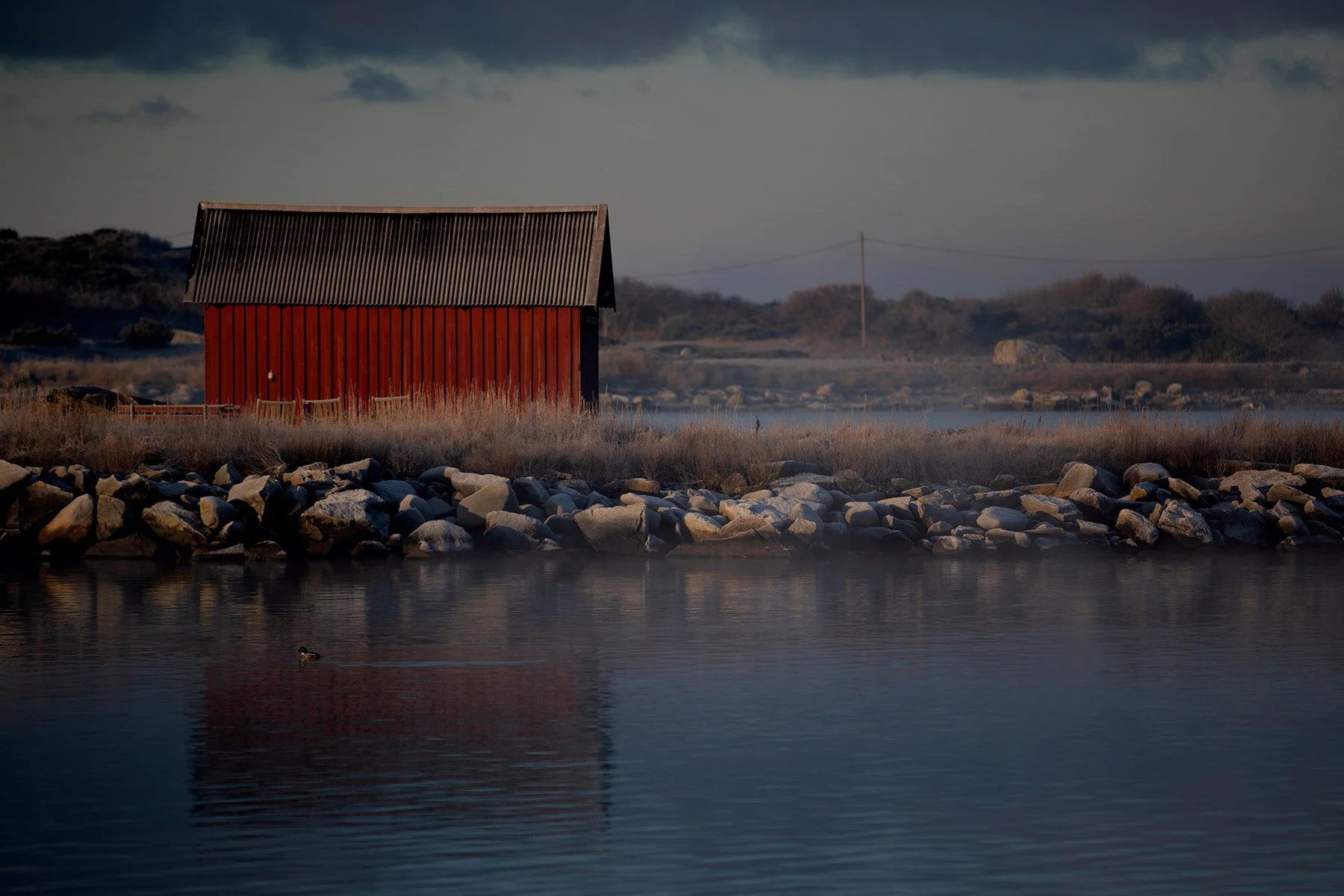 blogg-210131dimsolmorgon13.jpg