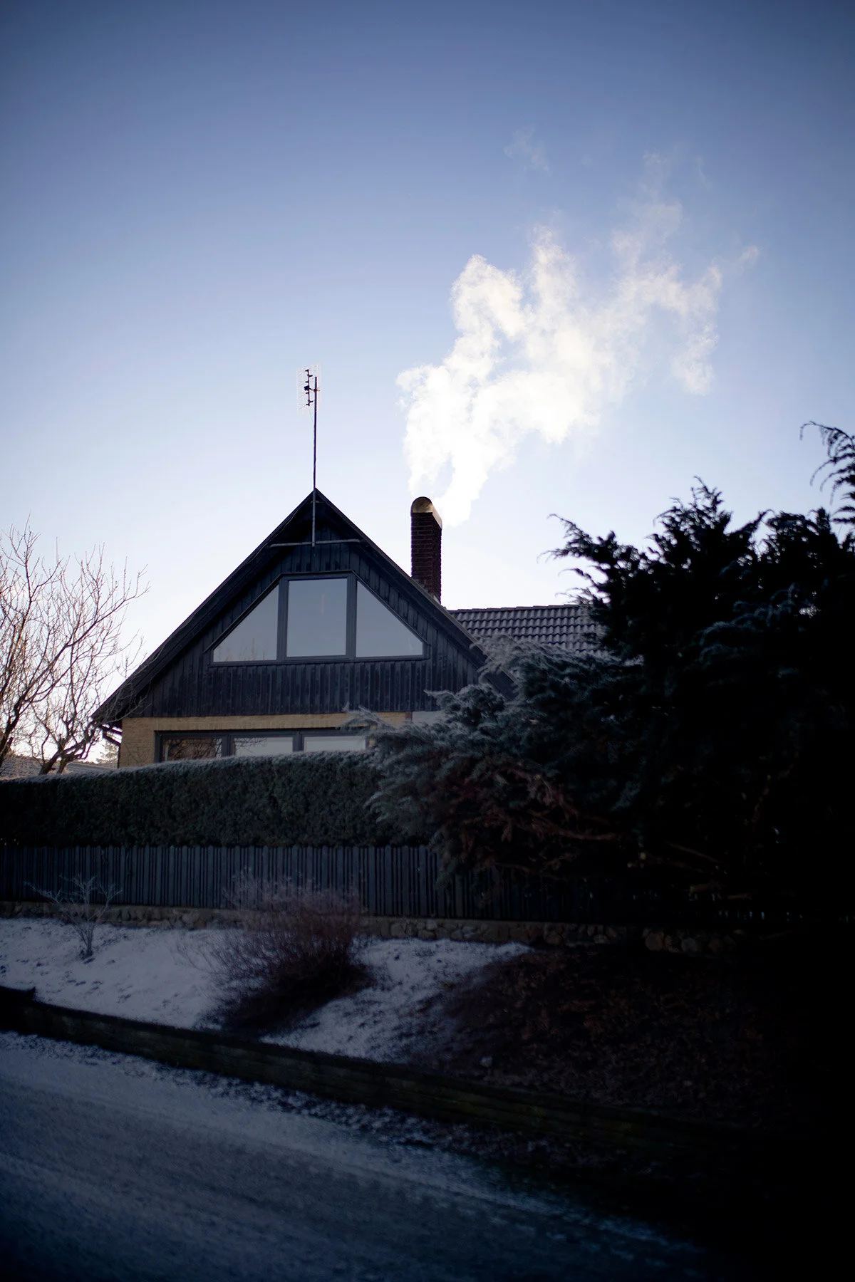 blogg-210131dimsolmorgon33.jpg