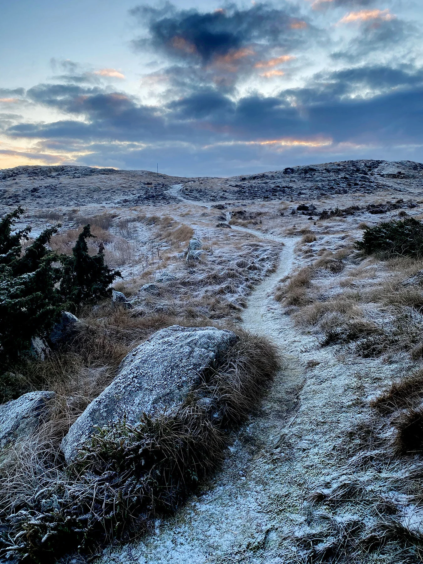 blogg-210203morgonpromenad1.jpg
