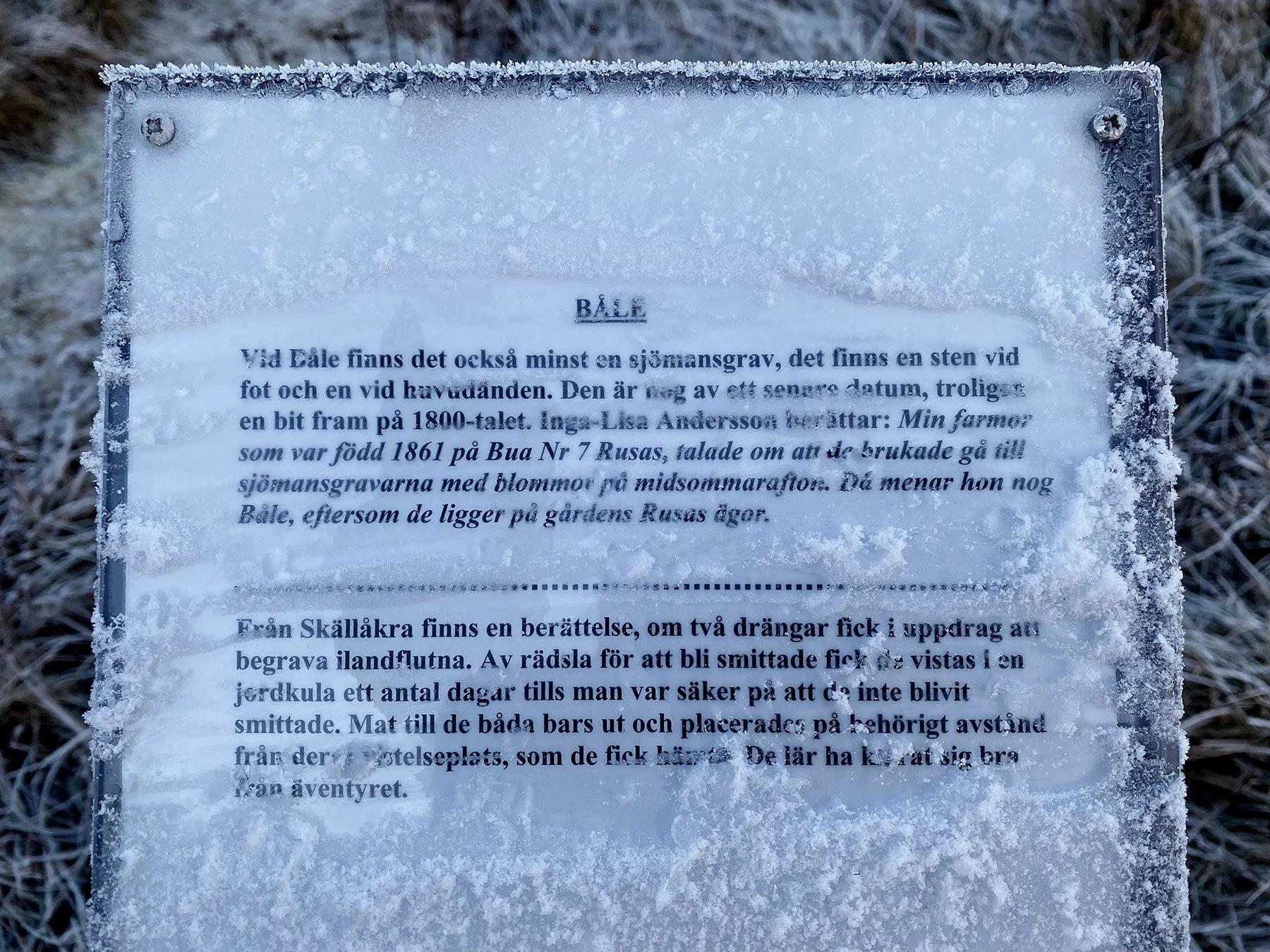 blogg-210203morgonpromenad2.jpg