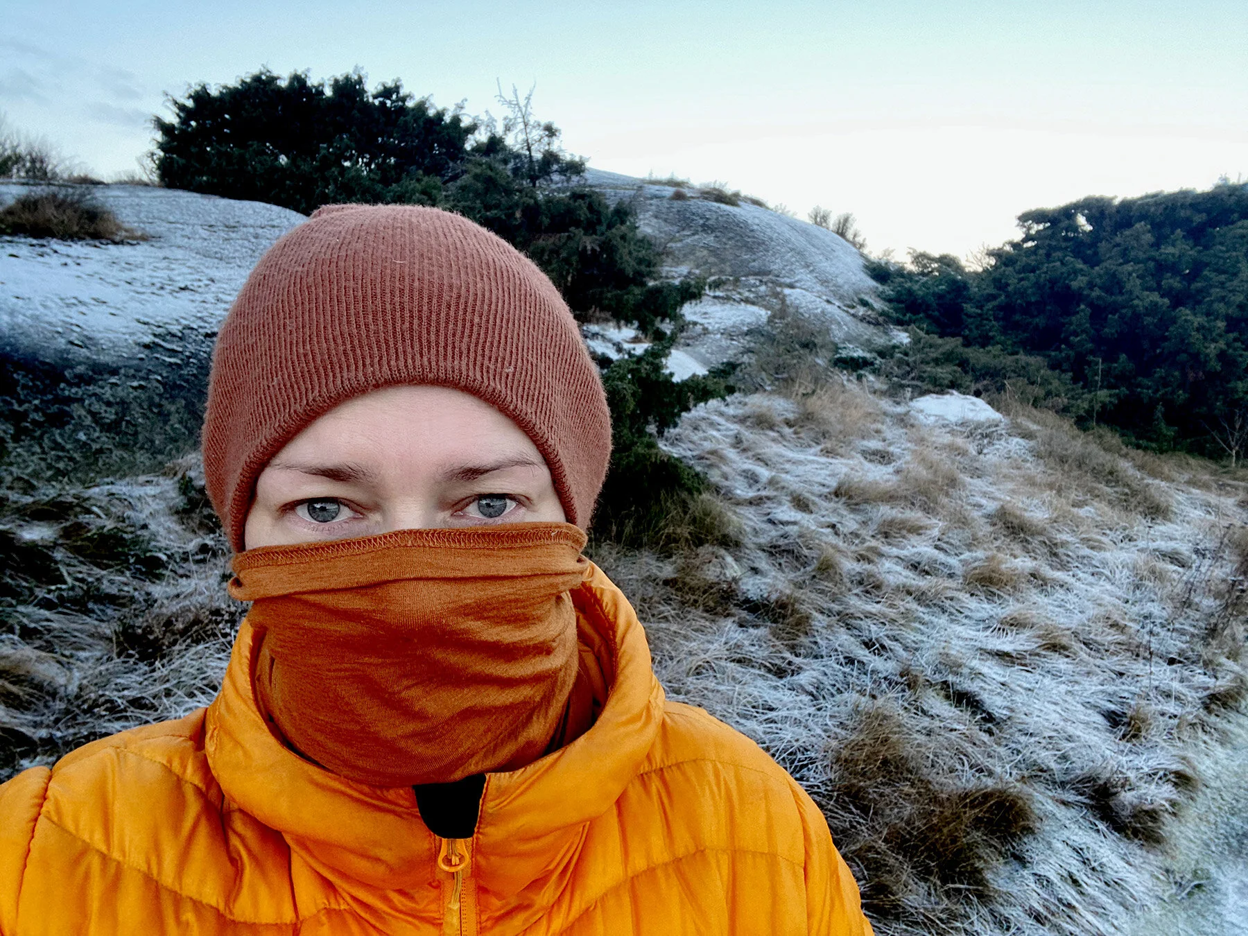 blogg-210203morgonpromenad4.jpg