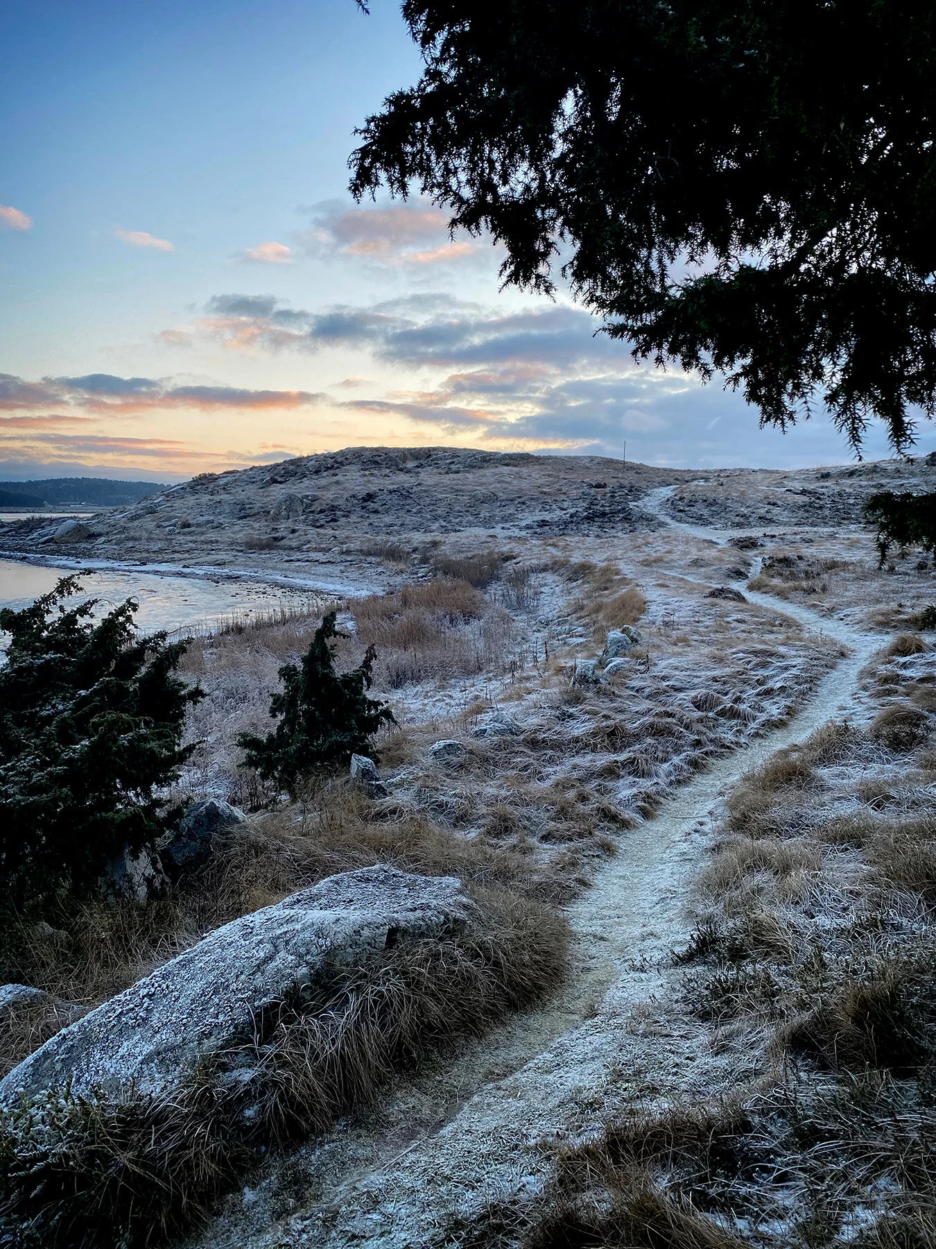 blogg-210203morgonpromenad5.jpg
