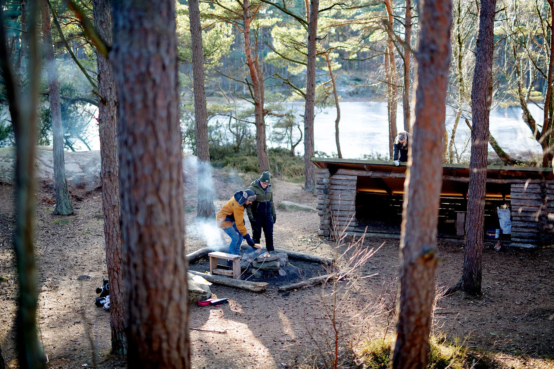 blogg-210210skogenkarin6.jpg