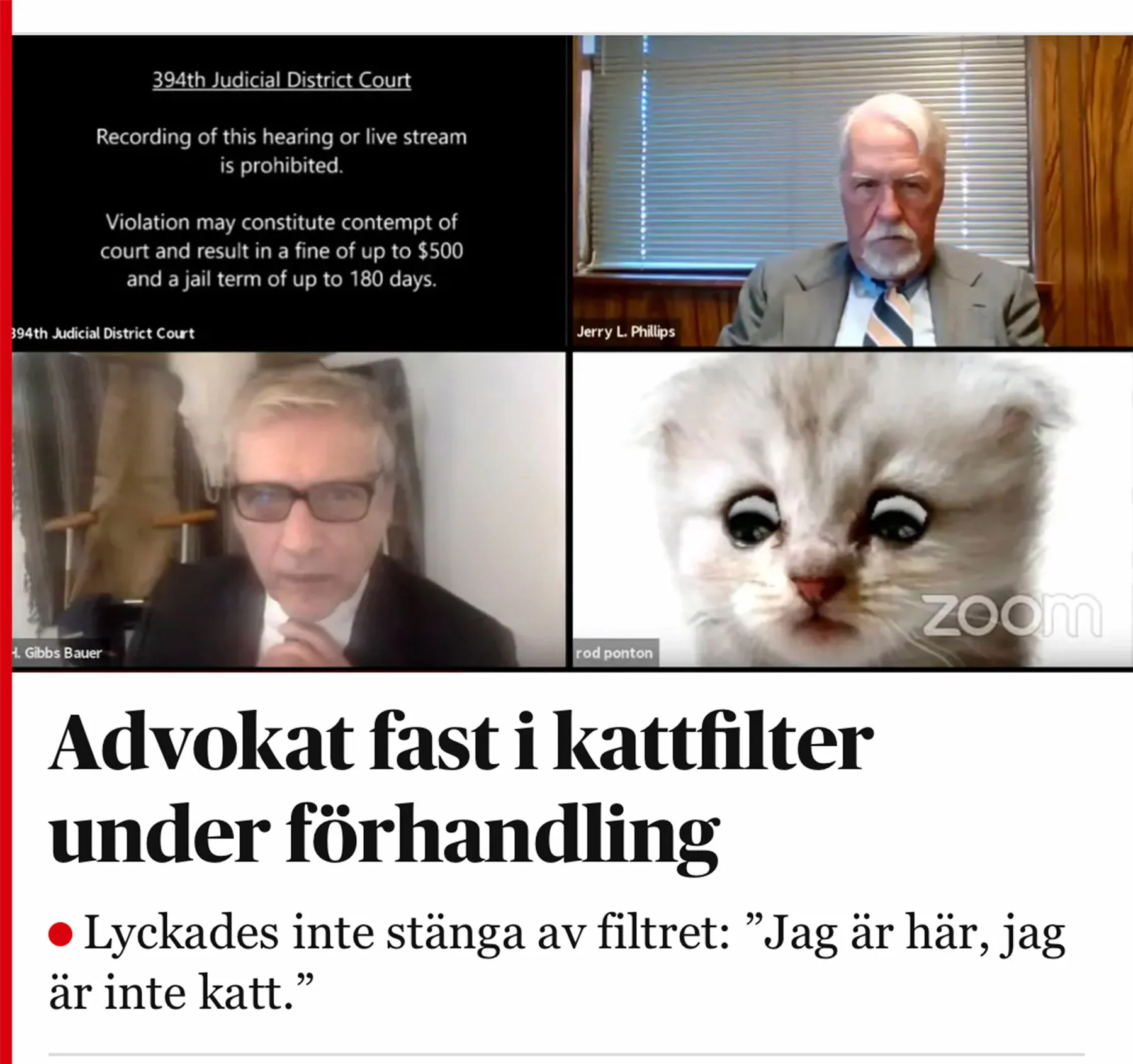 blogg-210210kattfilter.jpg