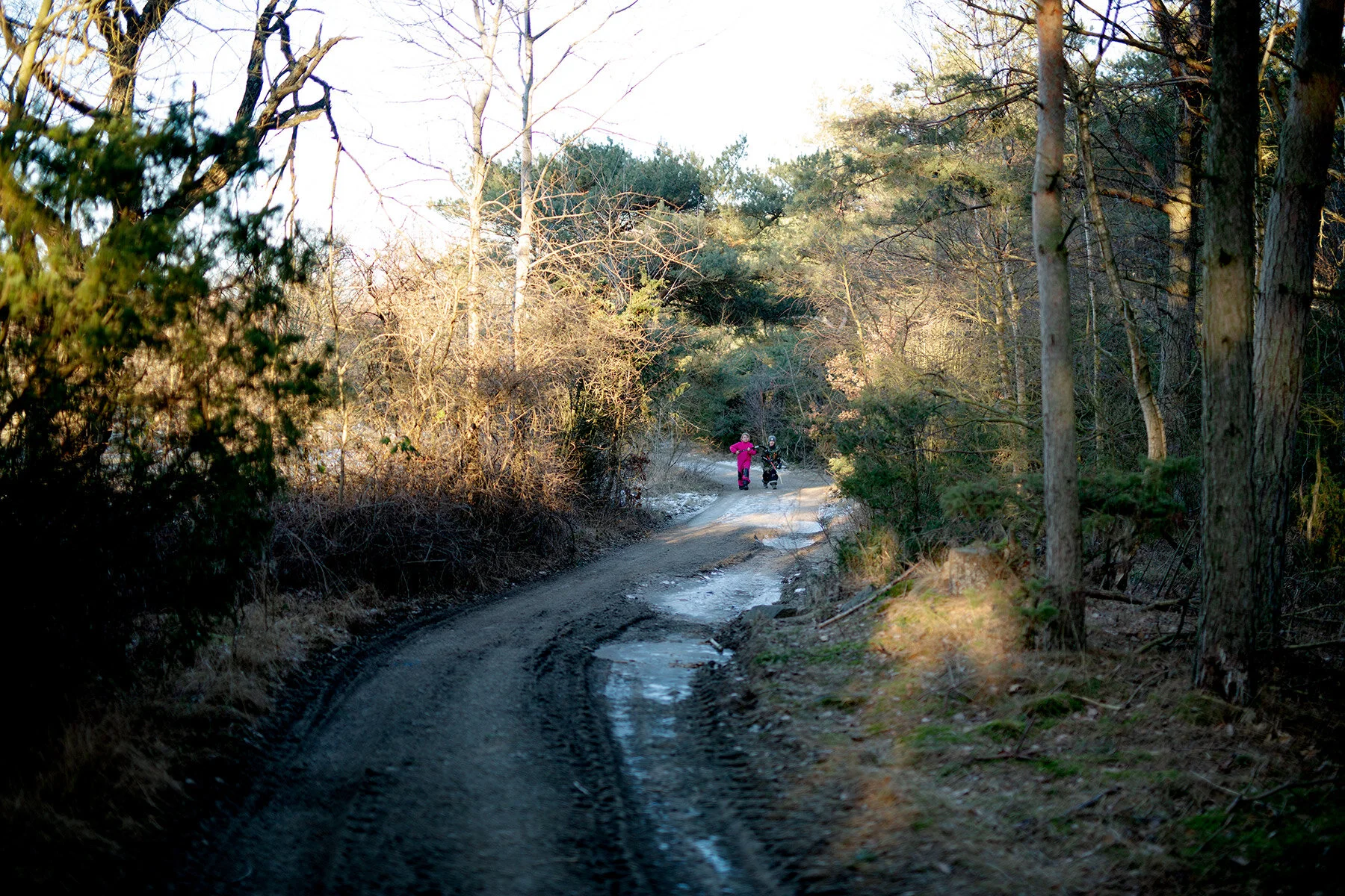 blogg-210212nackrosdammen1.jpg