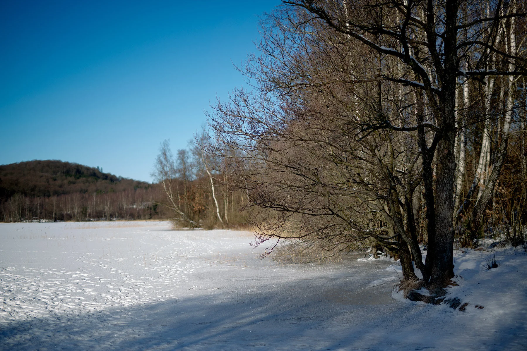 blogg-210213bjorkasjo1.jpg