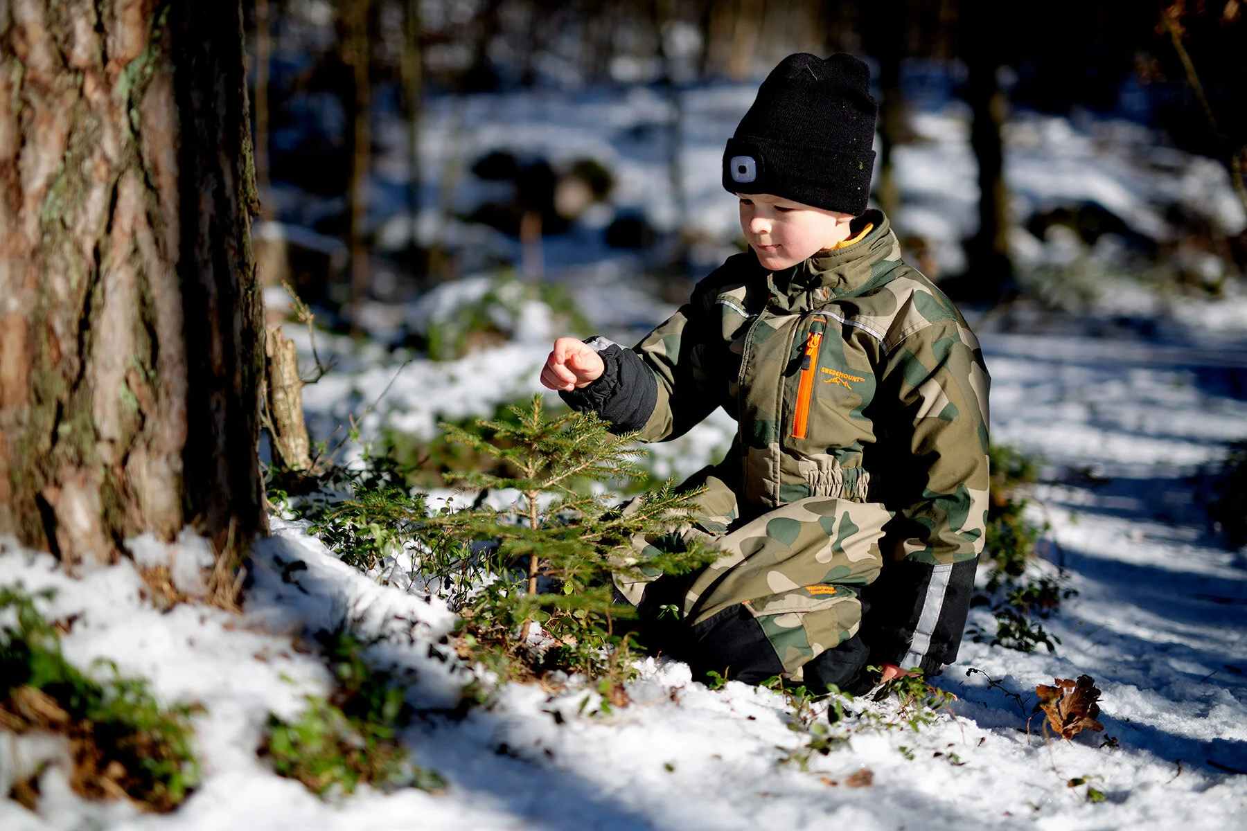 blogg-210213bjorkasjo31.jpg