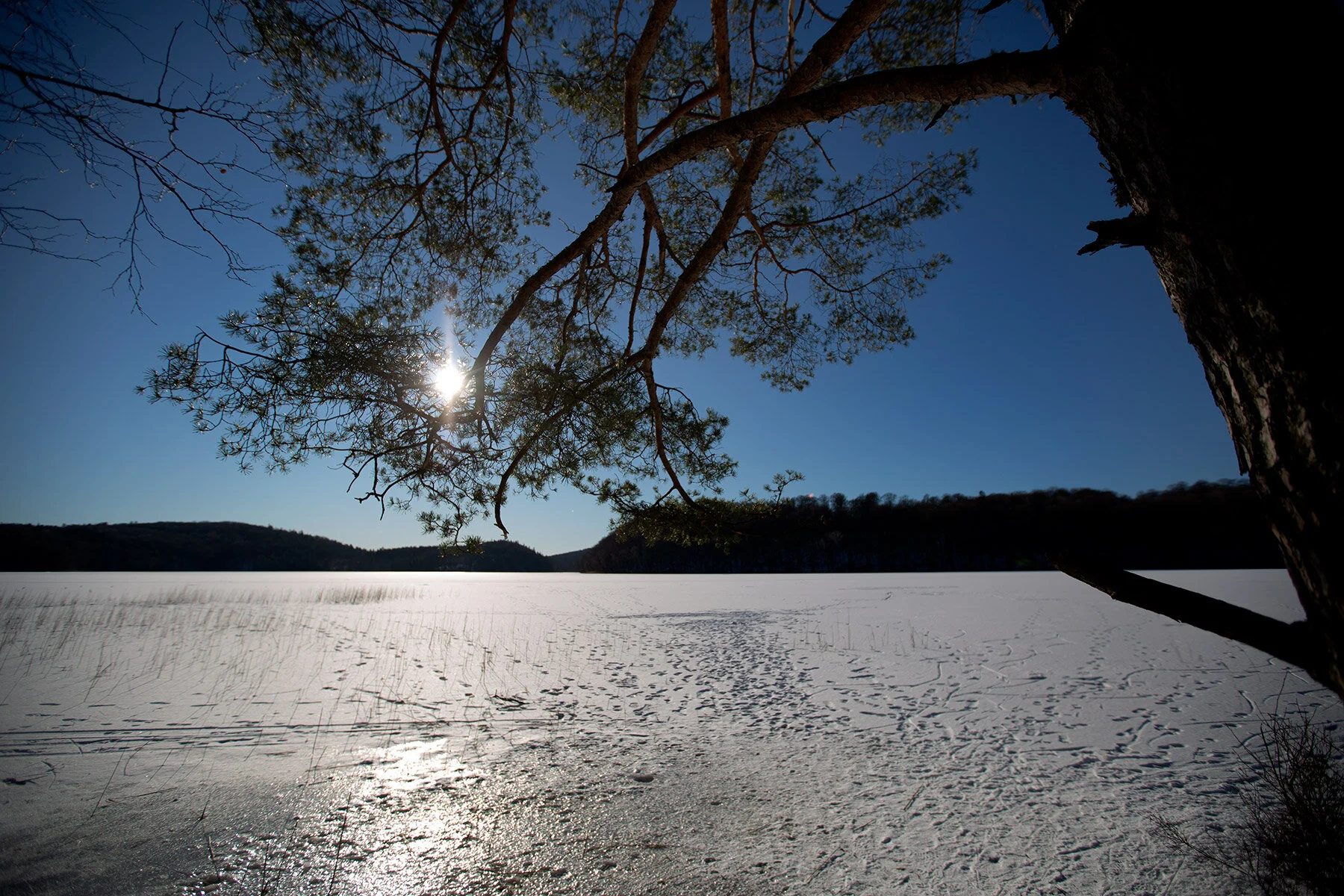 blogg-210213bjorkasjo40.jpg