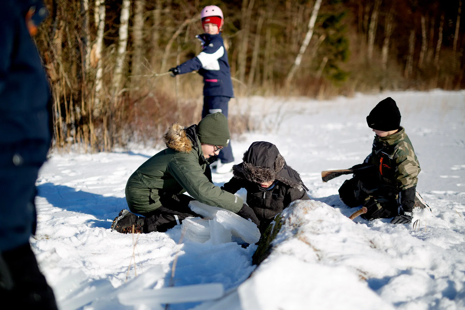 blogg-210213bjorkasjo44.jpg