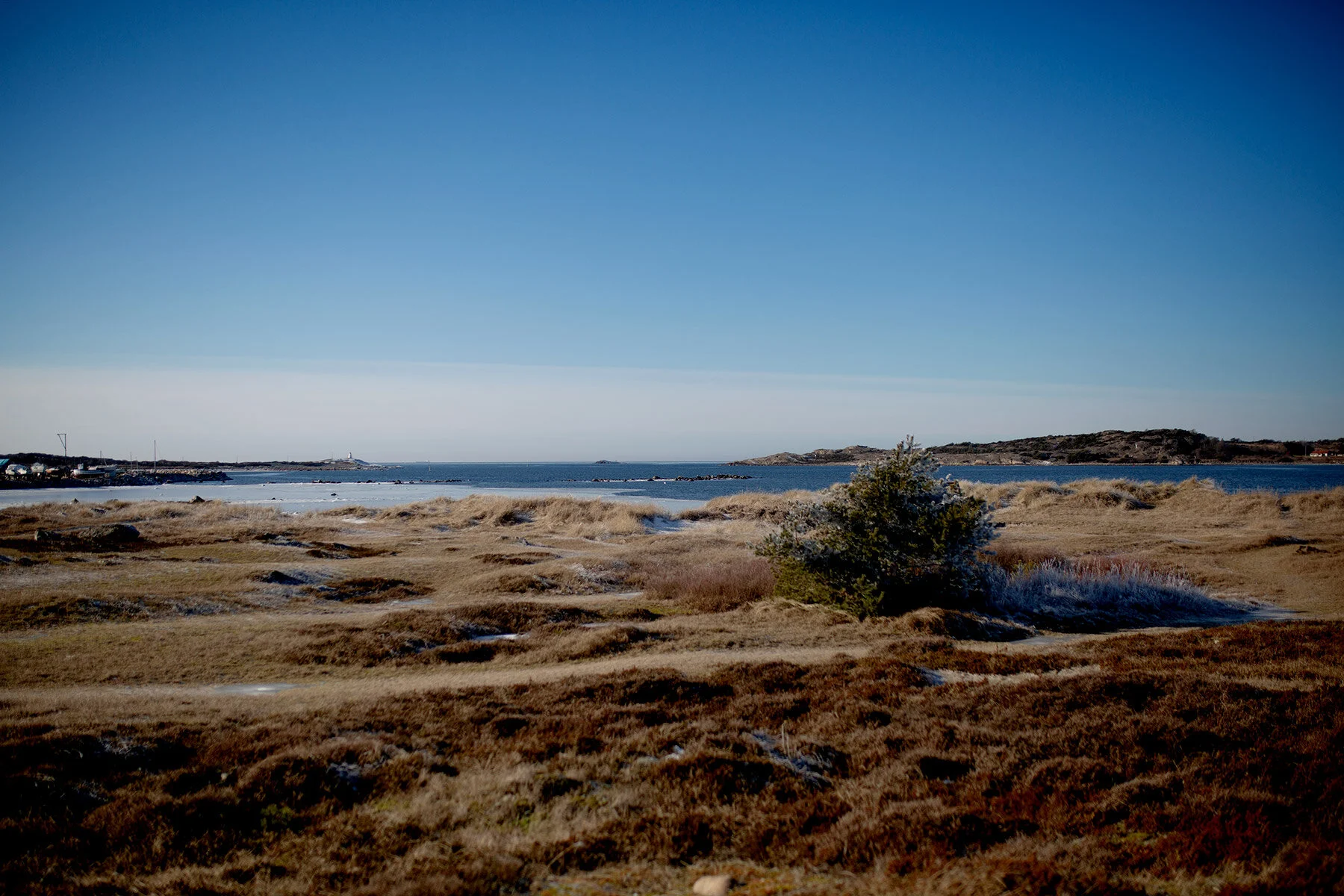 blogg-210214bale2.jpg
