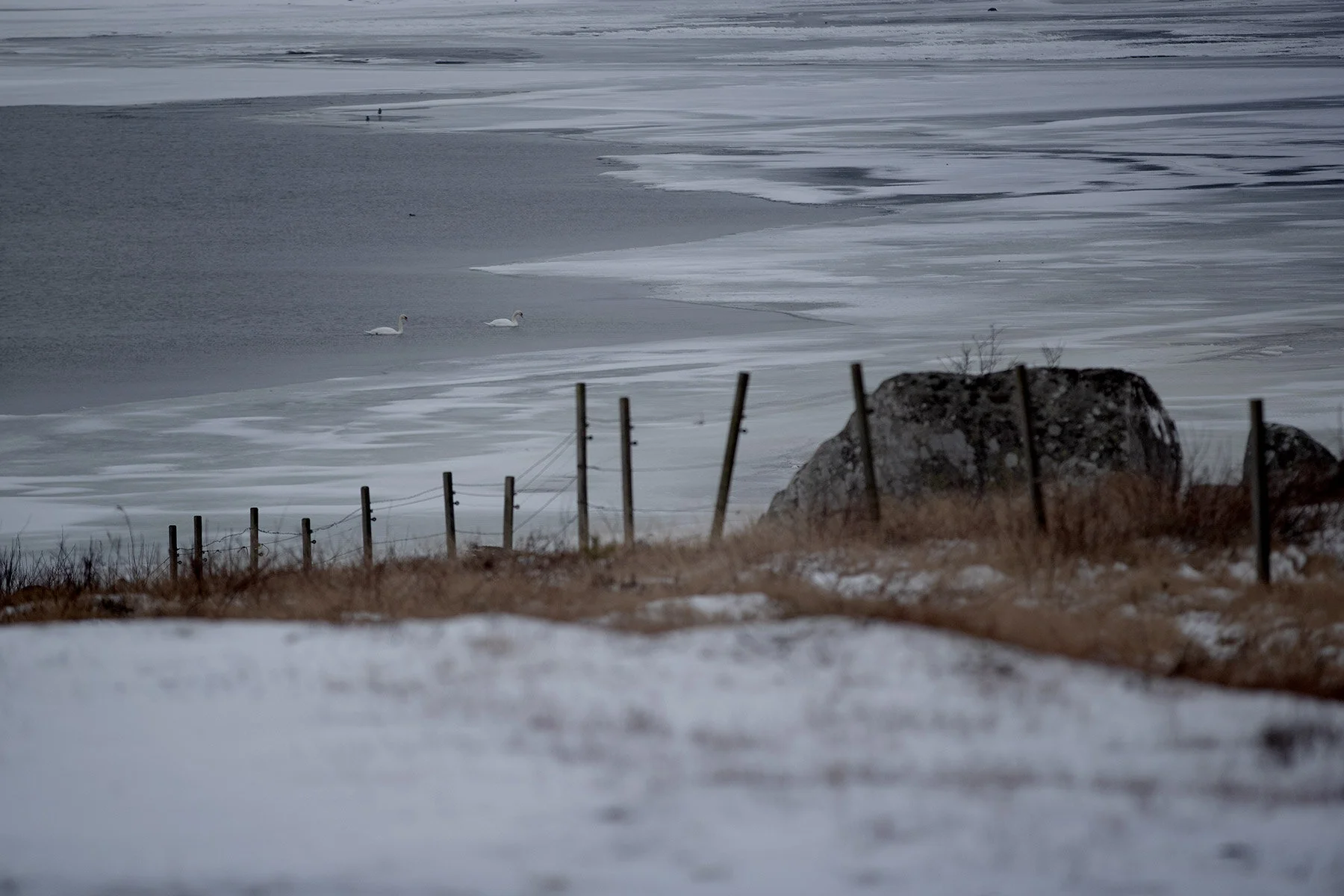 blogg-210218balepromenad4.jpg