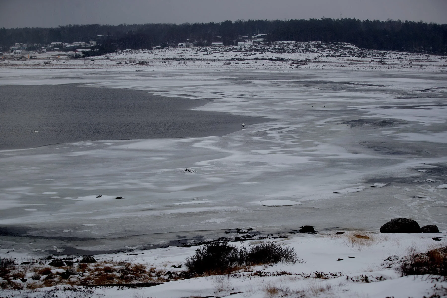 blogg-210218balepromenad5.jpg