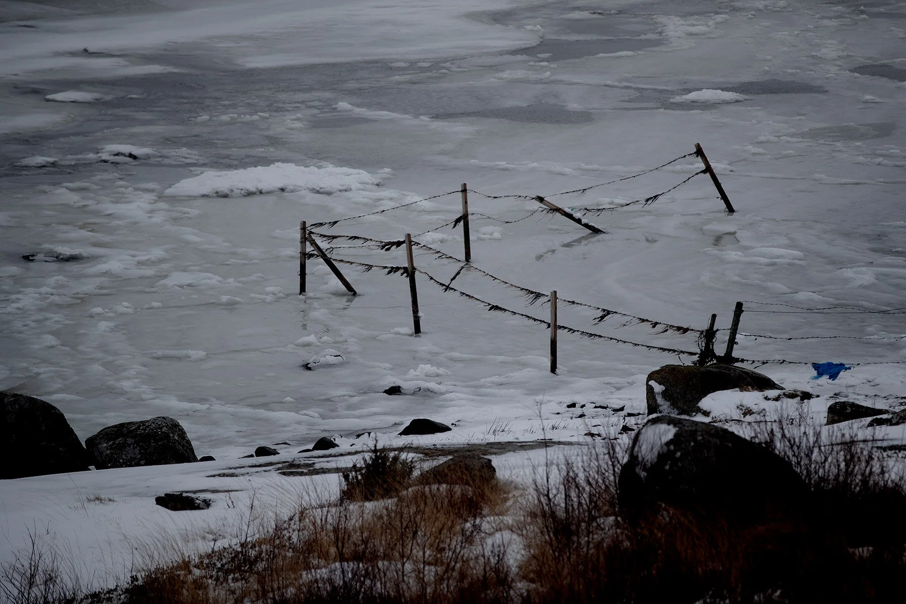 blogg-210218balepromenad7.jpg