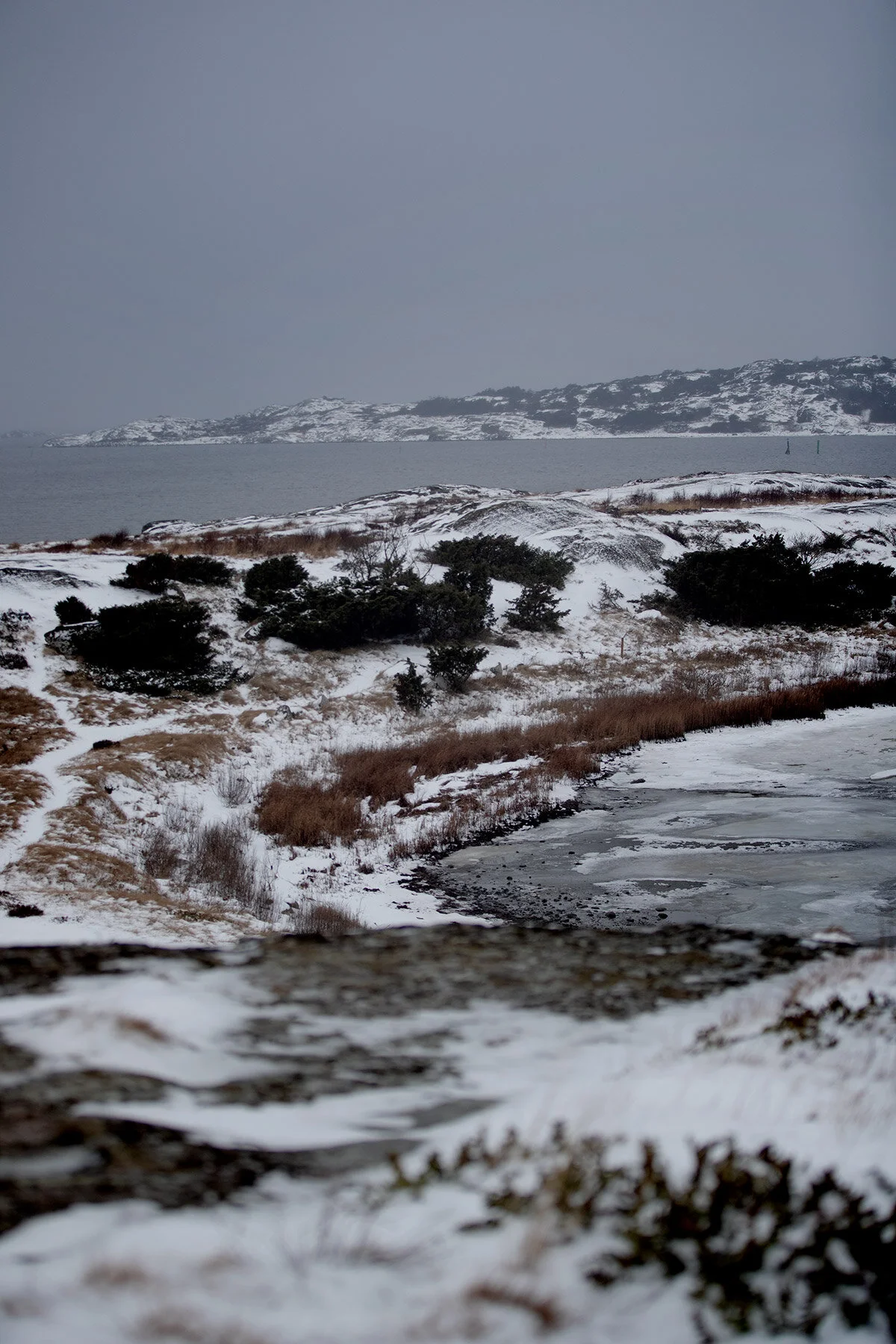 blogg-210218balepromenad8.jpg