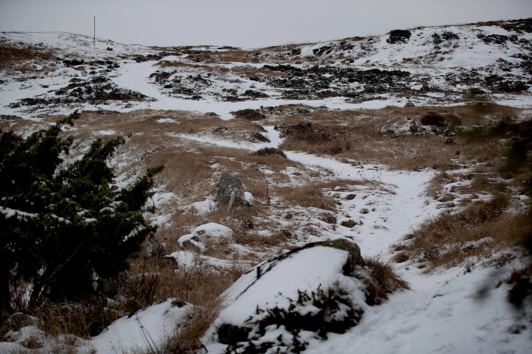 blogg-210218balepromenad11.jpg
