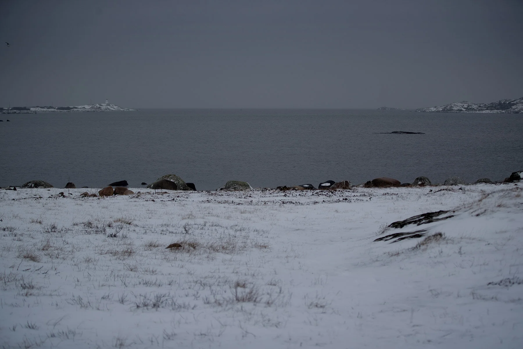 blogg-210218balepromenad13.jpg