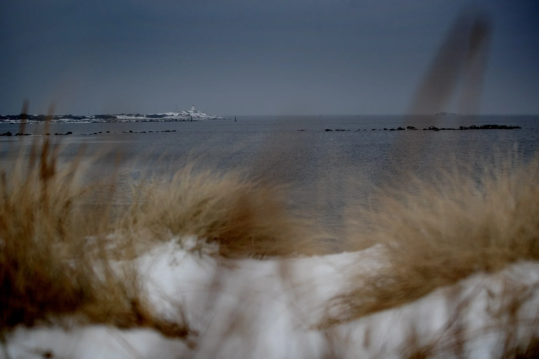 blogg-210218balepromenad15.jpg