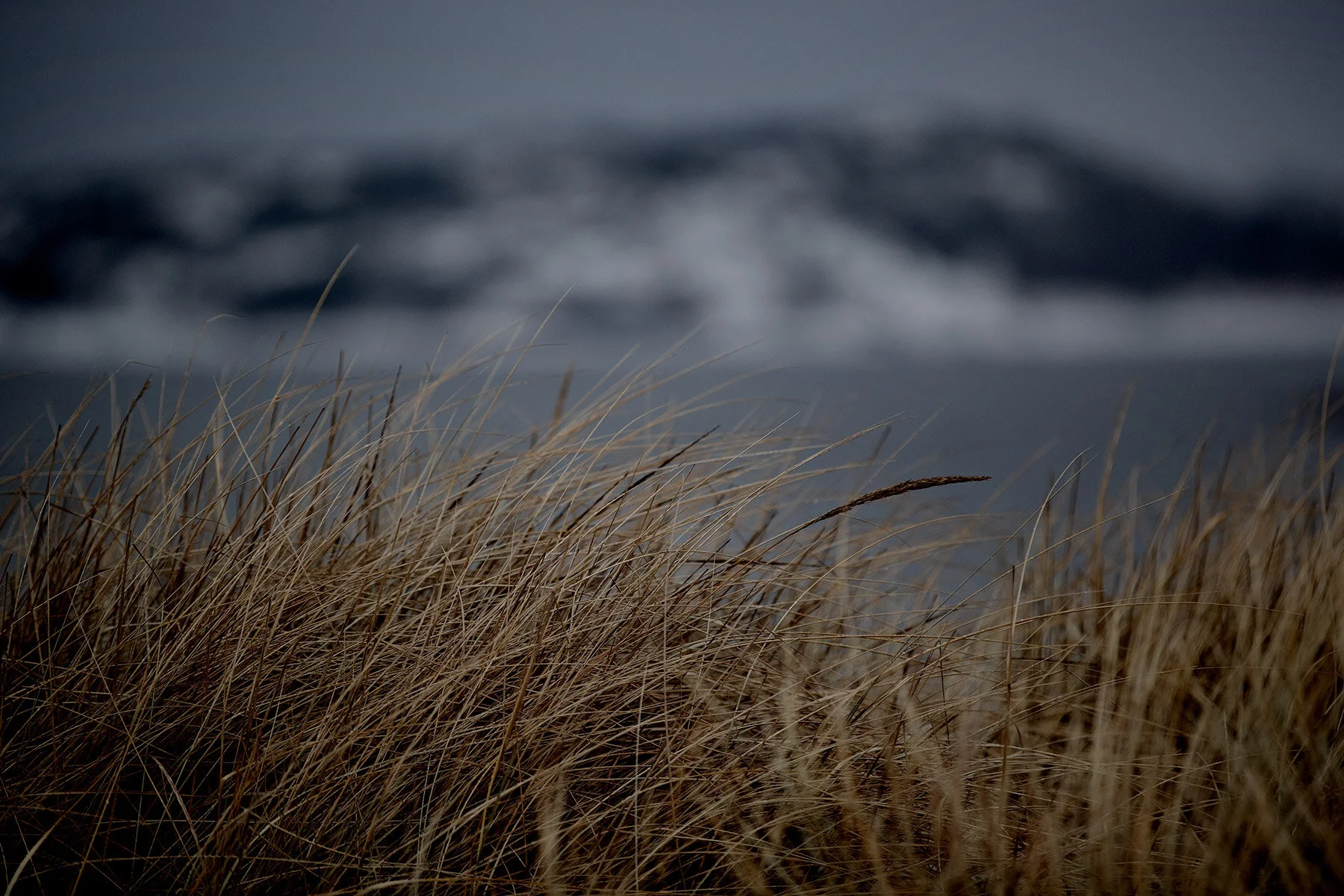 blogg-210218balepromenad16.jpg