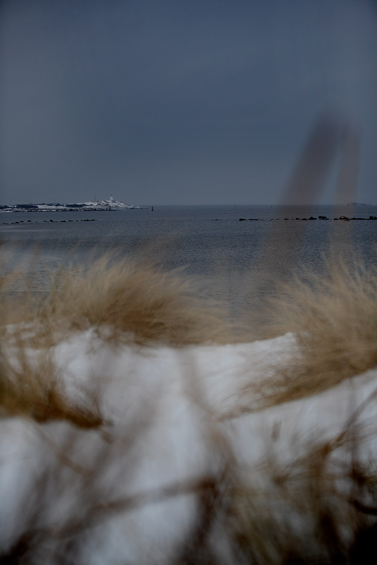 blogg-210218balepromenad17.jpg
