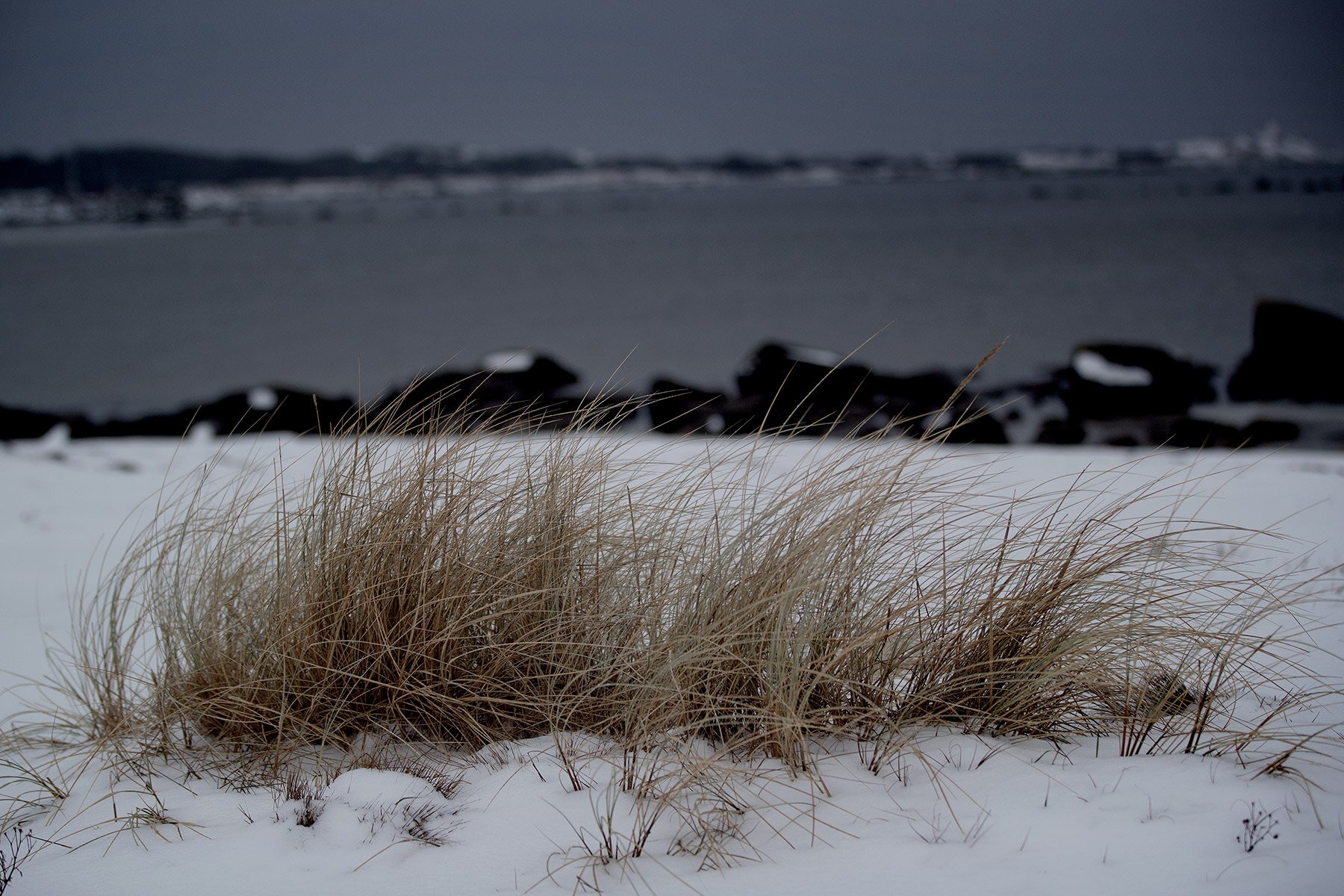 blogg-210218balepromenad18.jpg