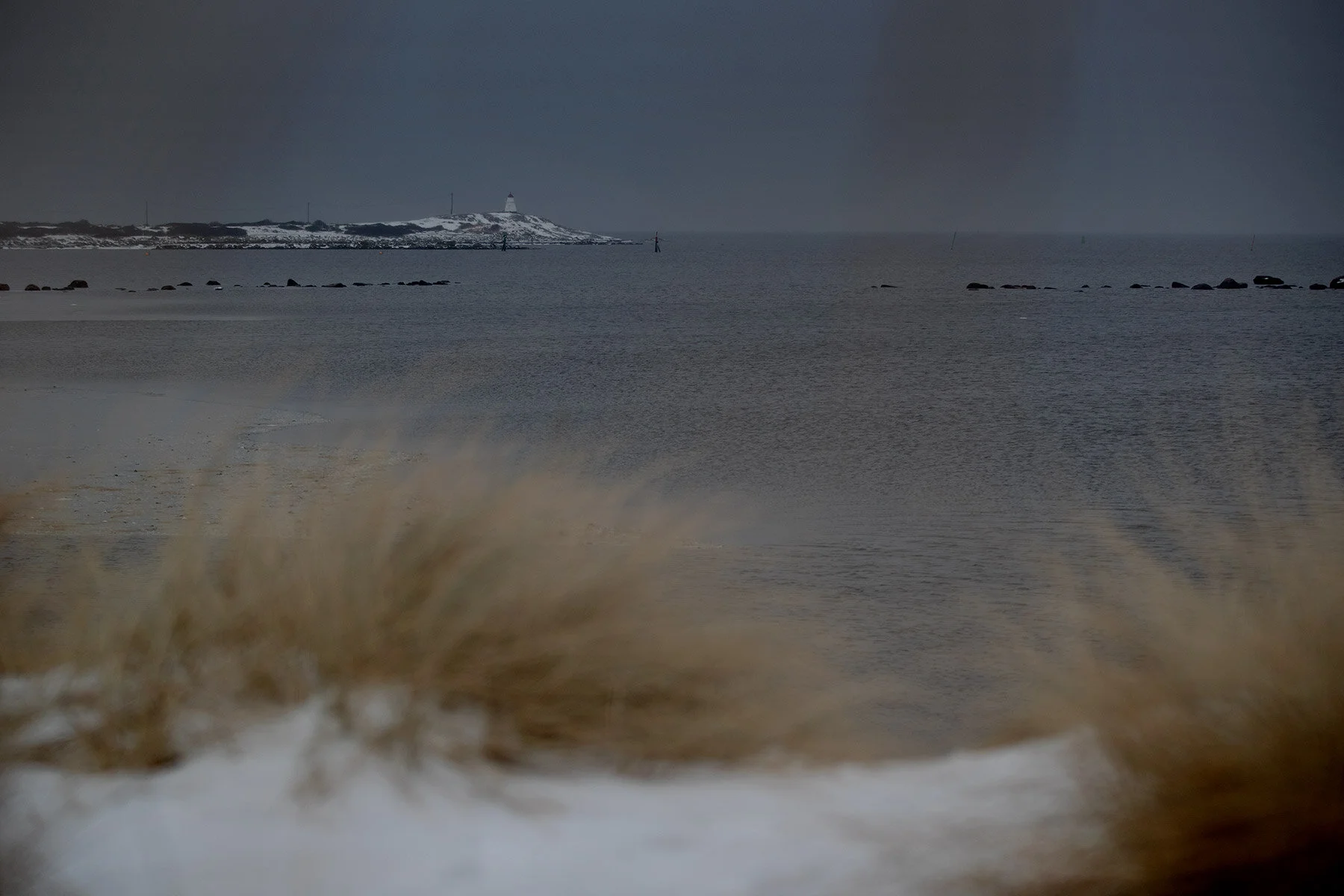 blogg-210218balepromenad19.jpg
