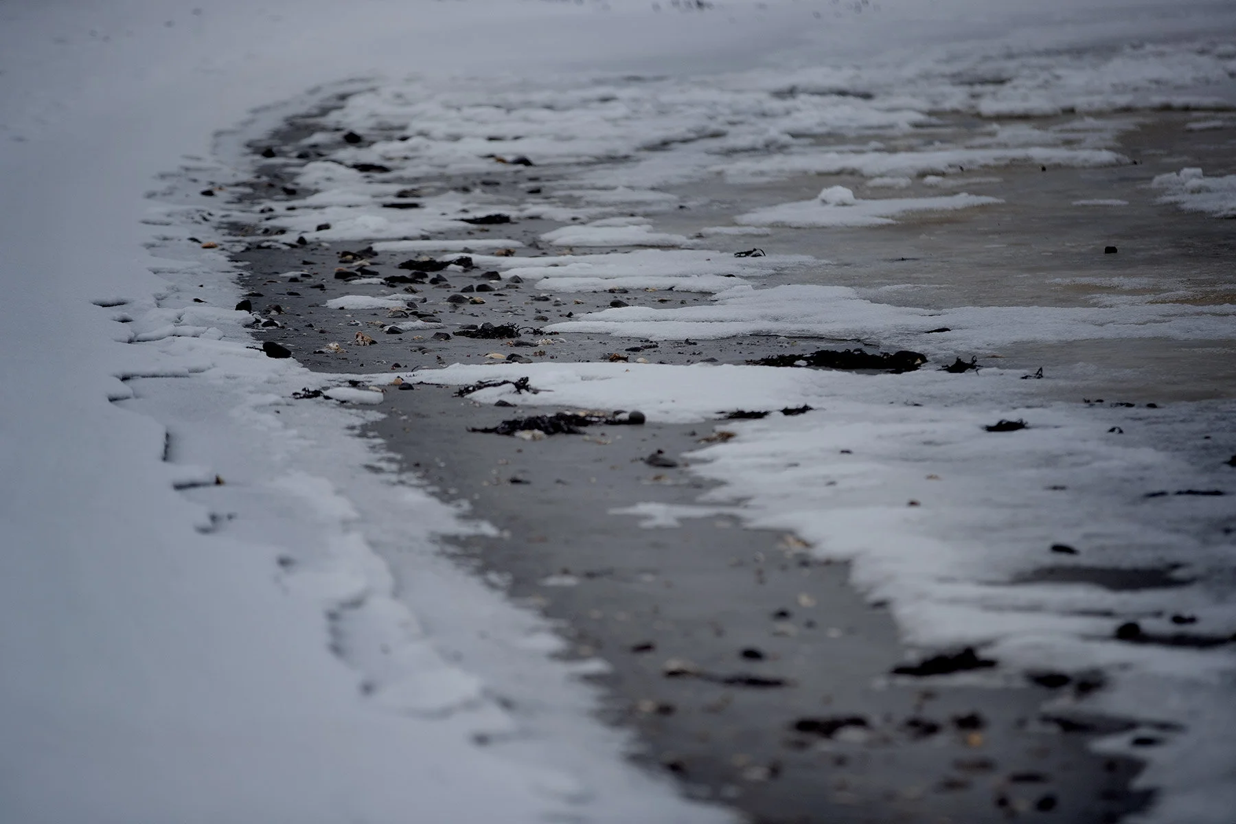 blogg-210218balepromenad22.jpg