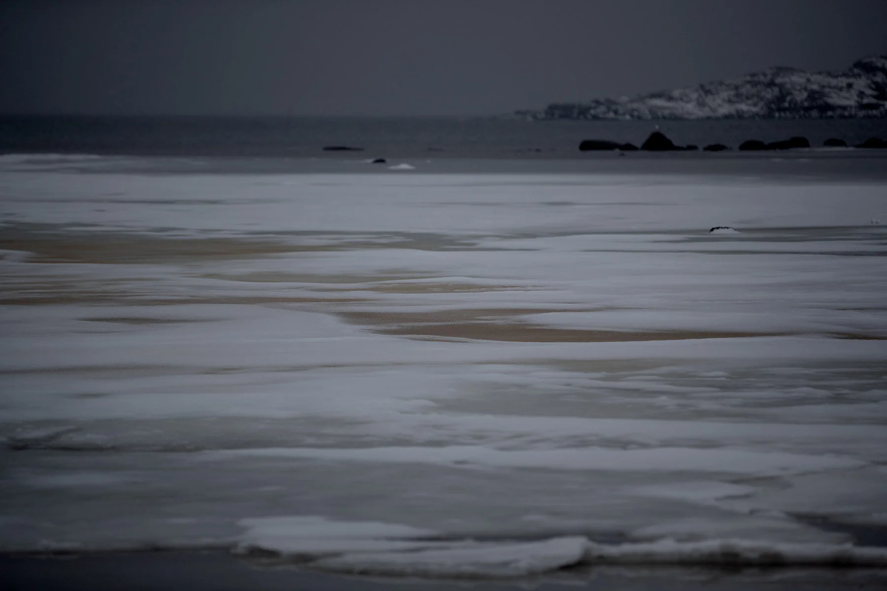 blogg-210218balepromenad23.jpg