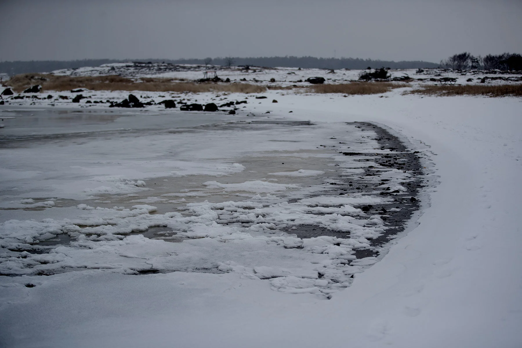 blogg-210218balepromenad24.jpg