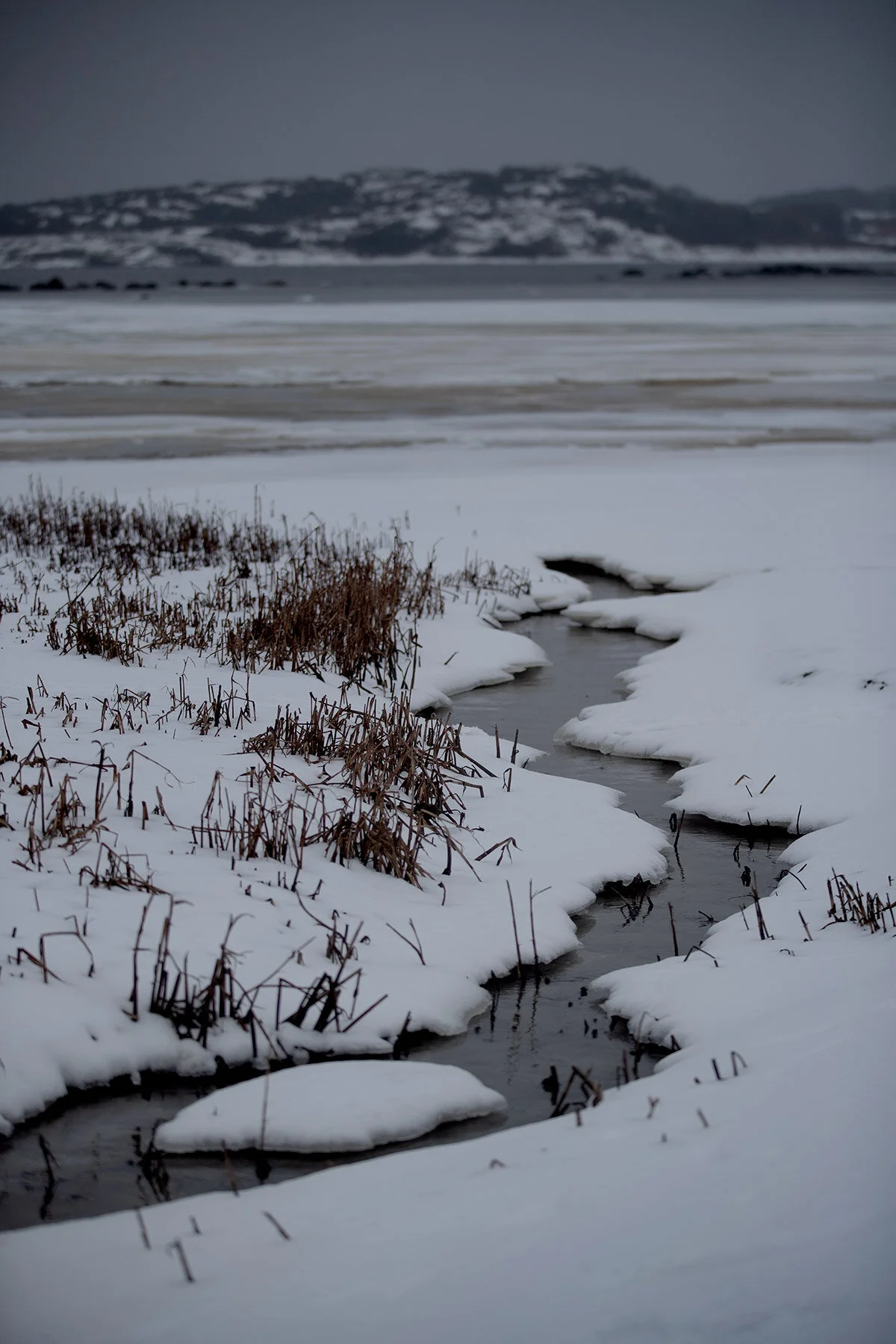 blogg-210218balepromenad26.jpg