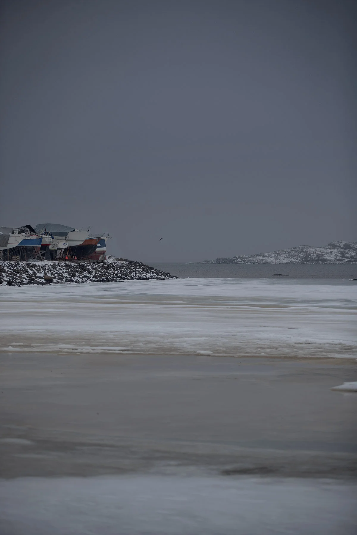 blogg-210218balepromenad29.jpg
