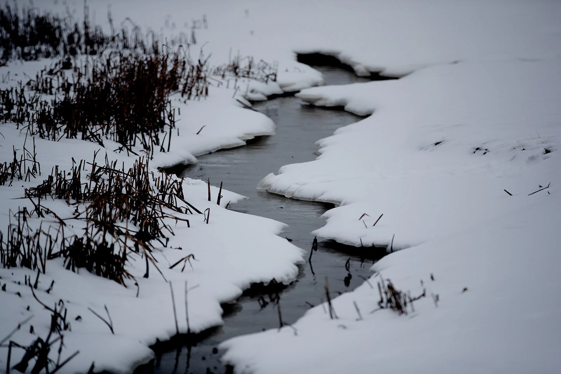 blogg-210218balepromenad30.jpg