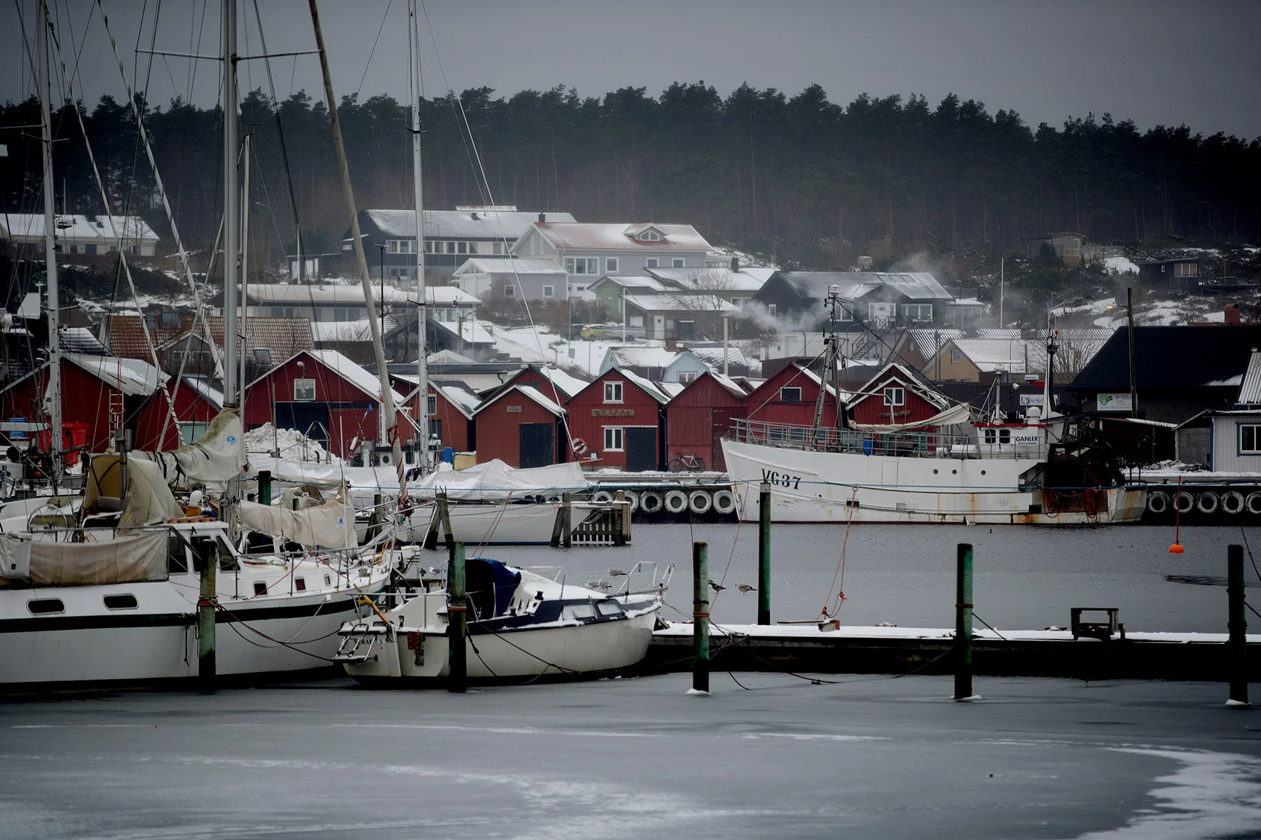 blogg-210218balepromenad32.jpg