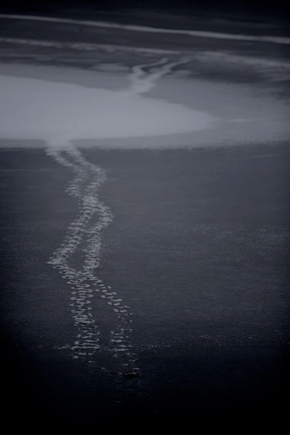 blogg-210218balepromenad33.jpg