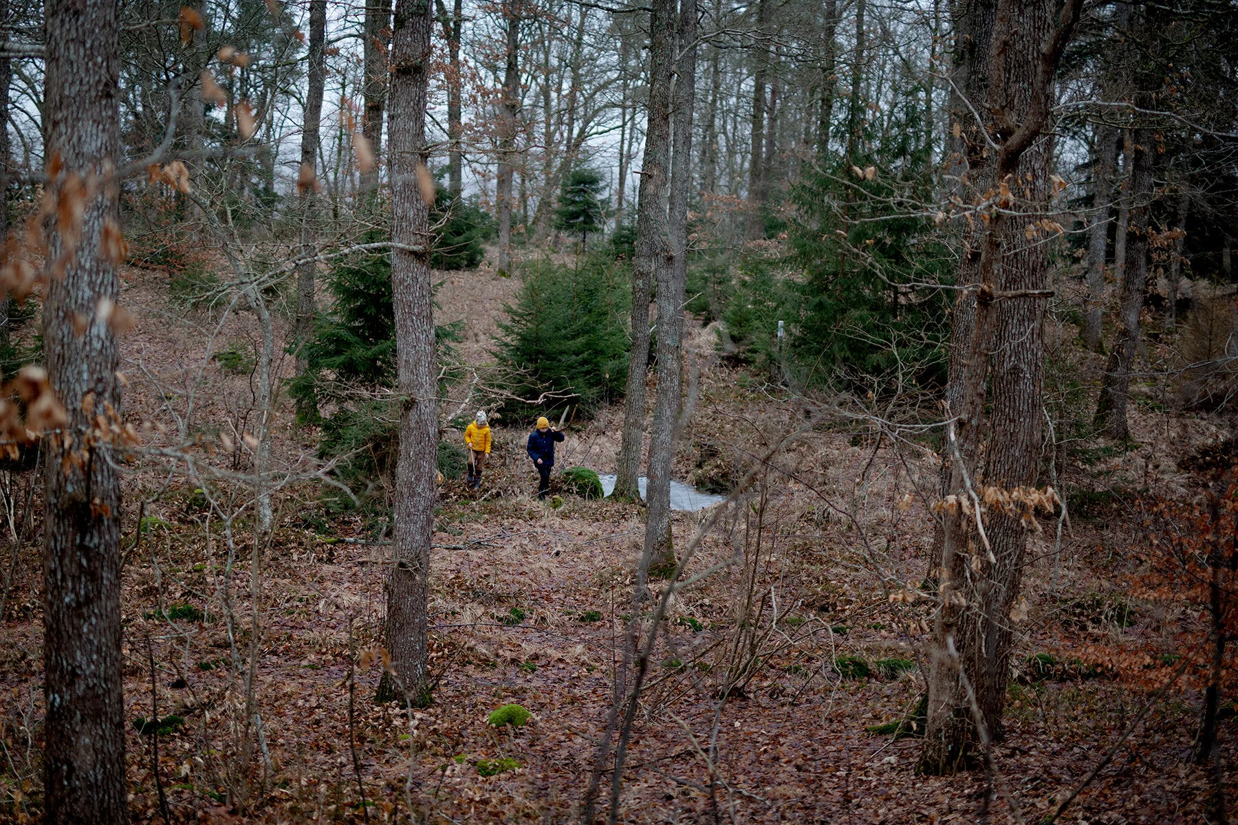 blogg-210223vattentornetveddige13.jpg