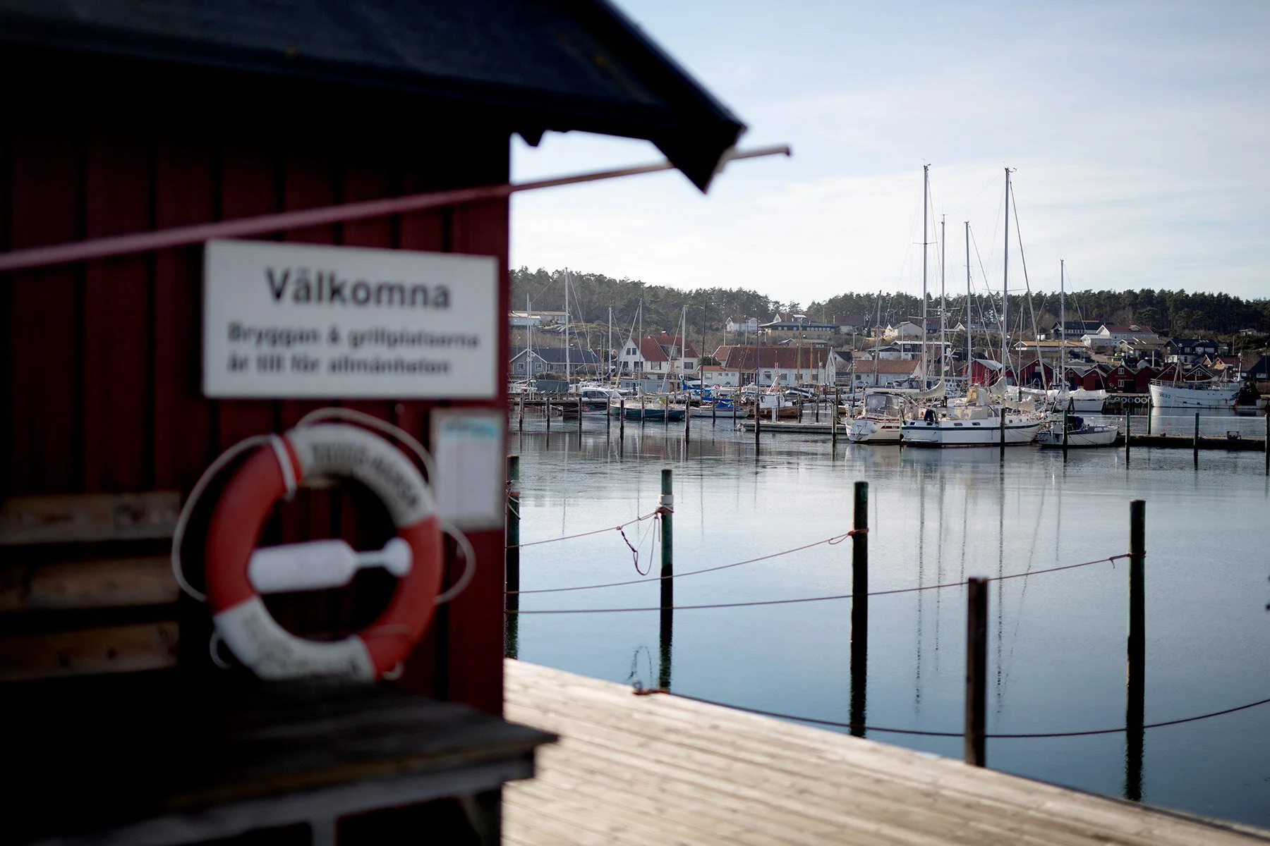 blogg-210227batkoll13.jpg