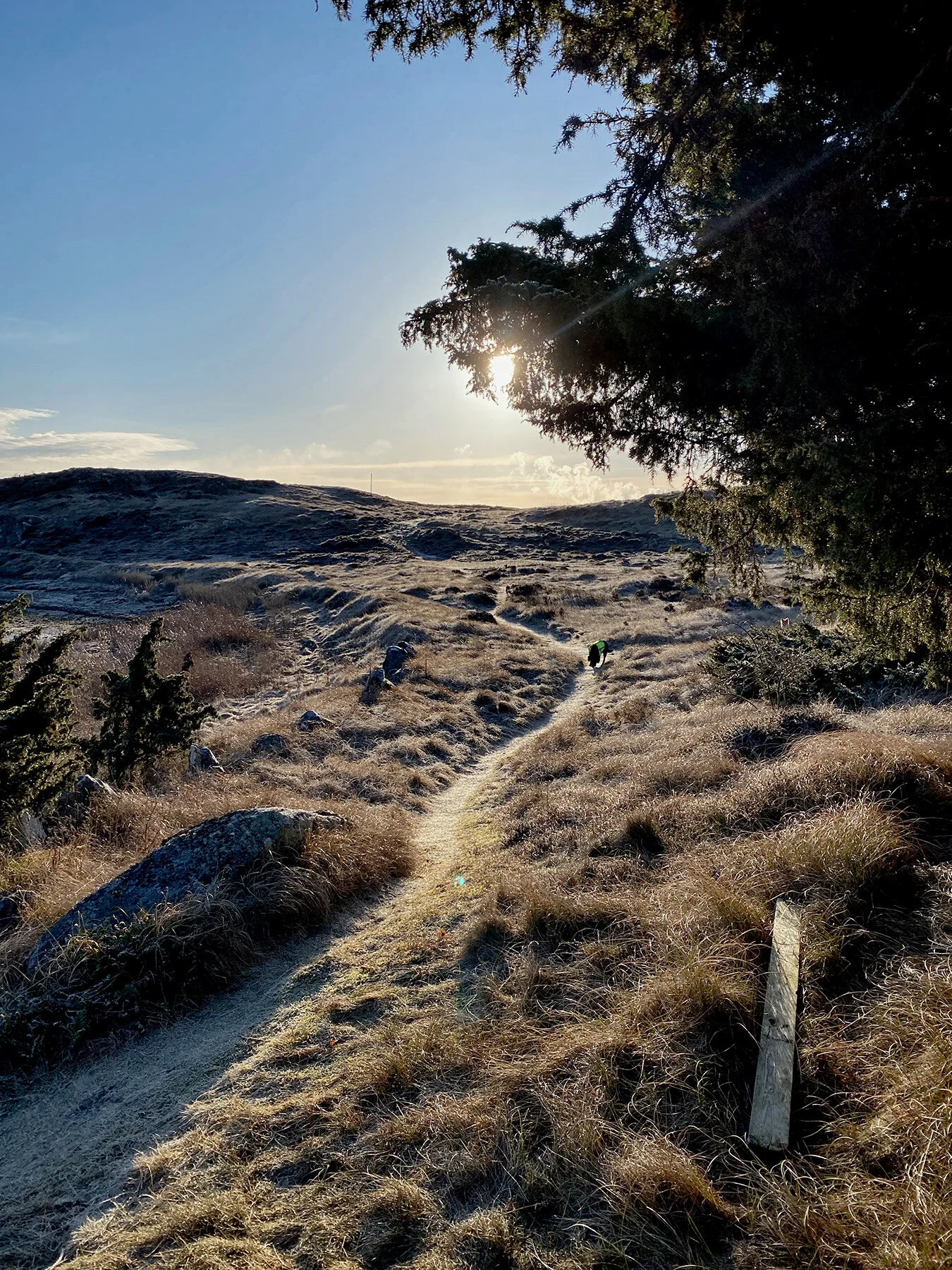 blogg-210309balemorgonpromenad1.jpg